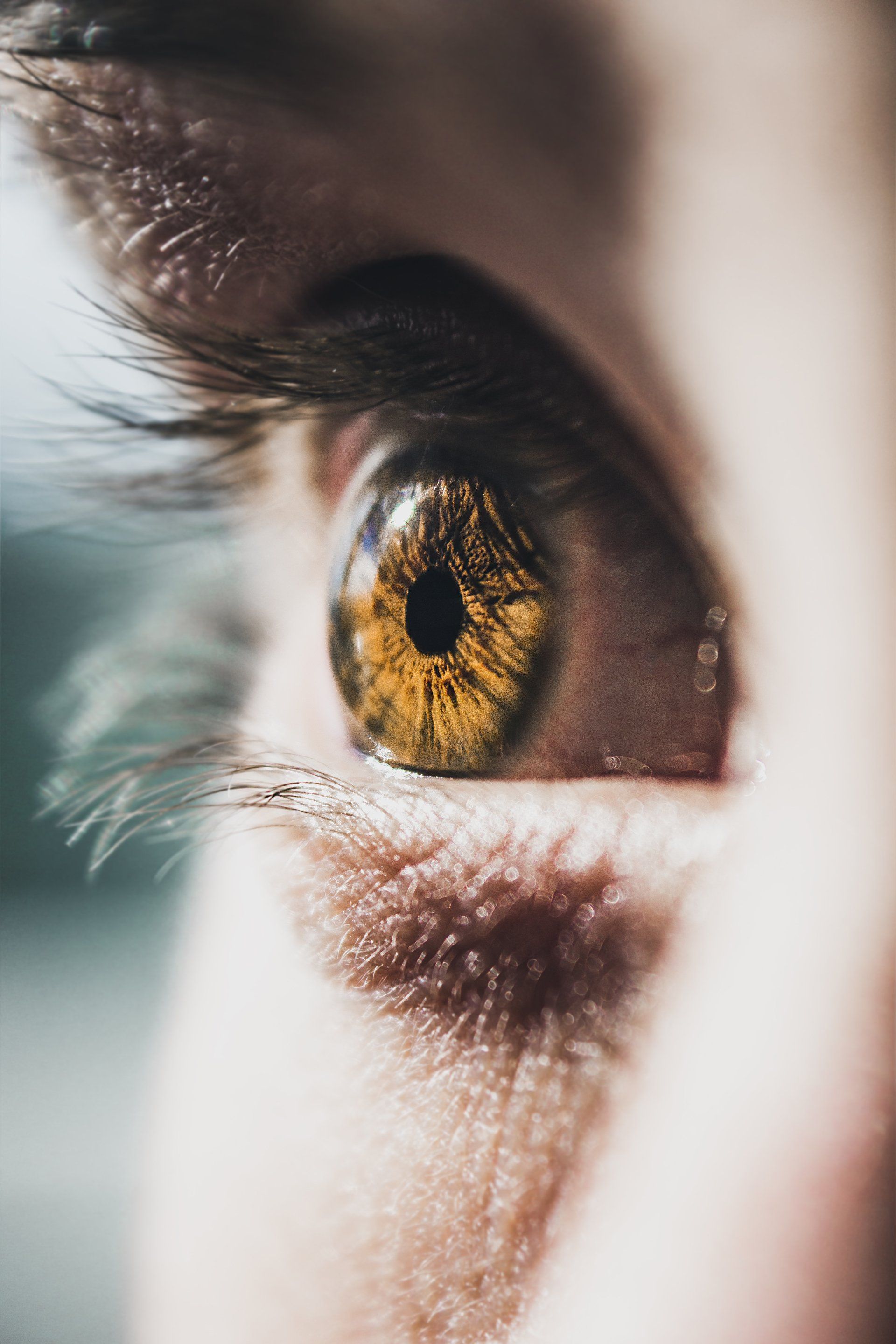 Sacadas oculares podem ajudar a medir função cerebral