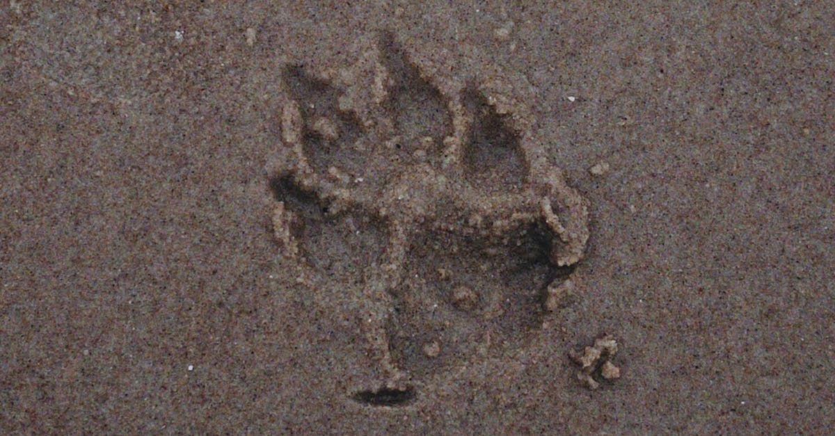 Returned Package for our Private Aquamation