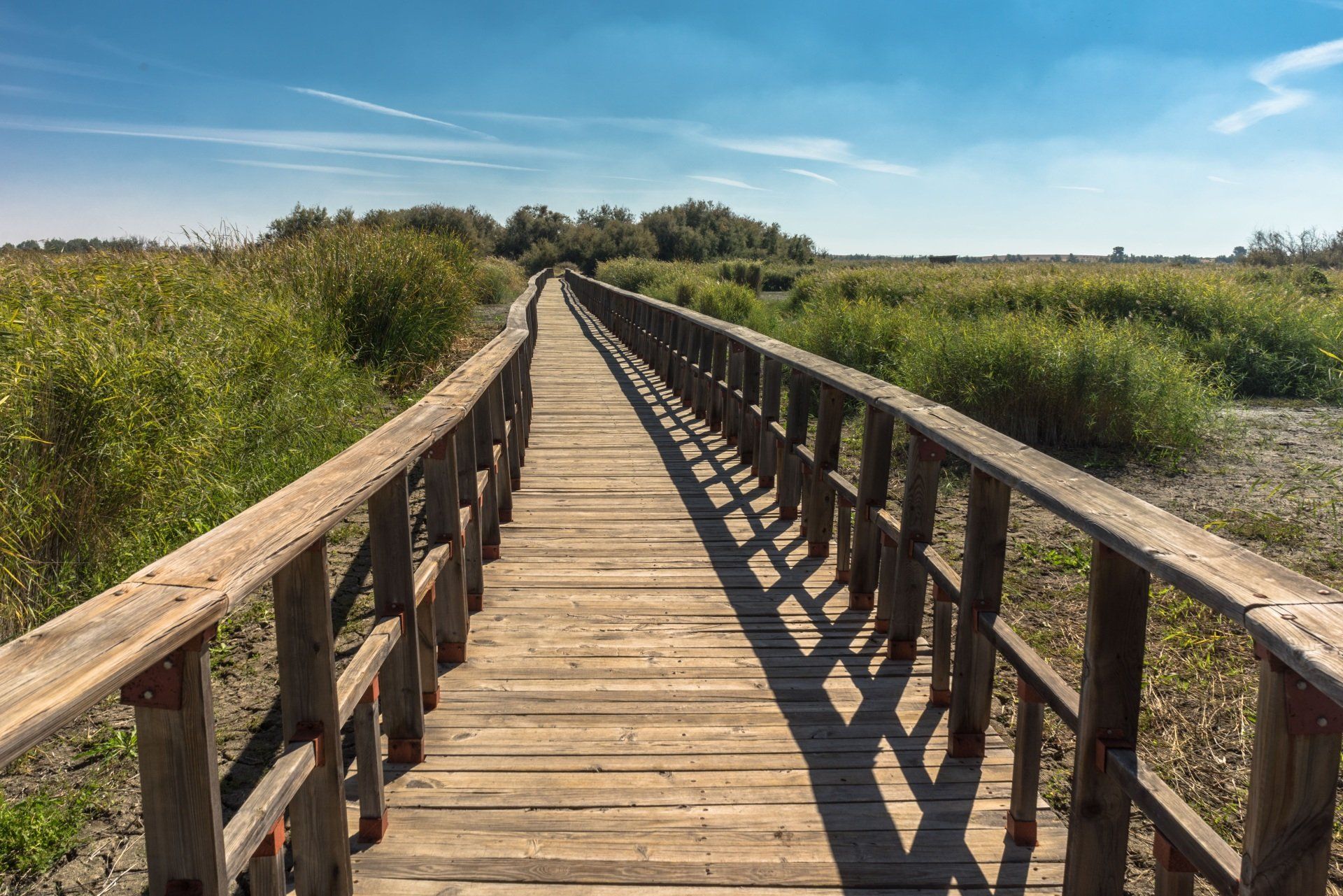 Een houten brug, waarop het pad te zien is dat je samen kunt bewandelen in relatietherapie en emotionally focused therapy