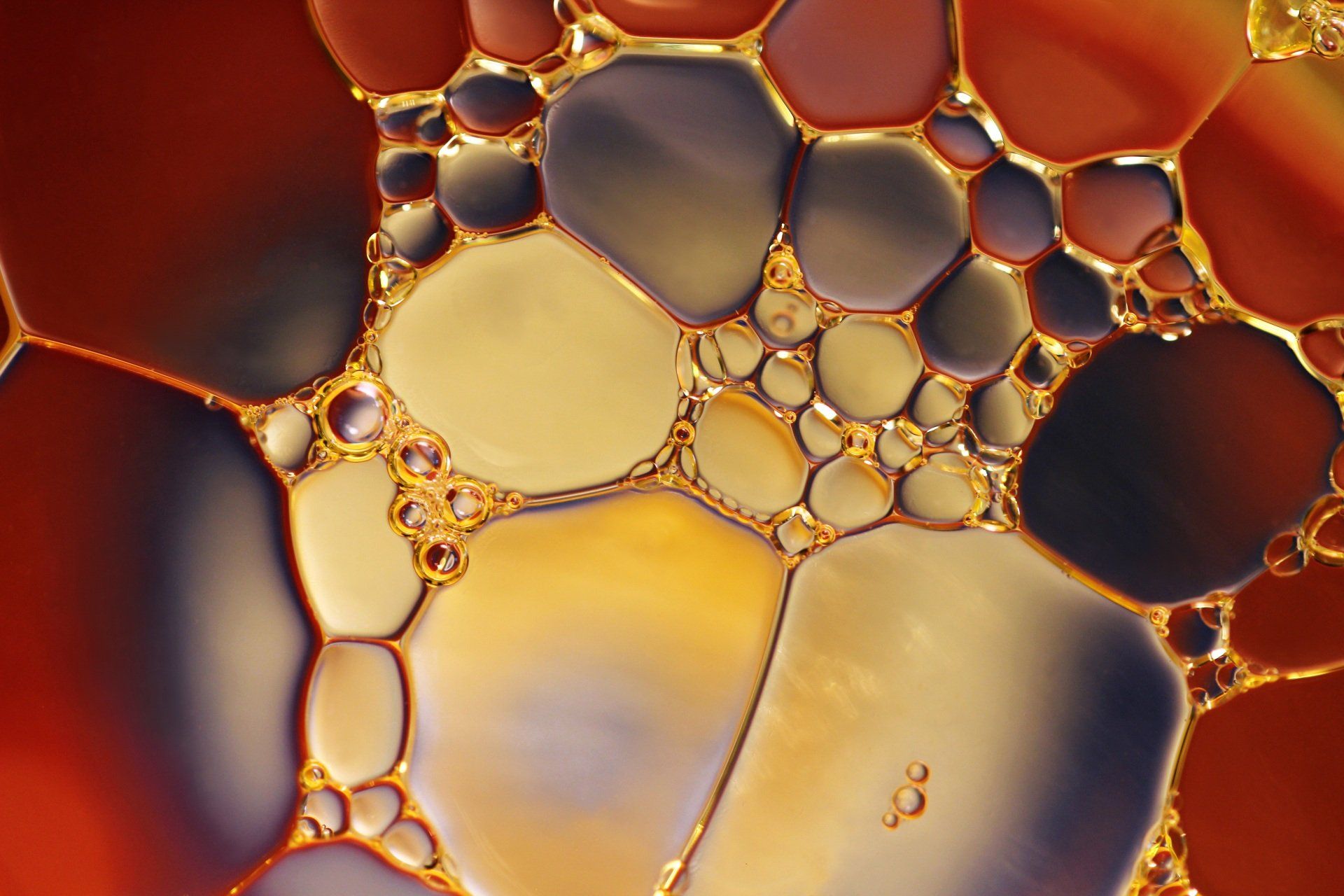 A close-up of oil bubbles  | Broccolo Automotive