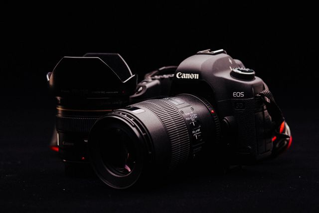 Canon M50 Review: The Best Camera for All Occasions (2024)