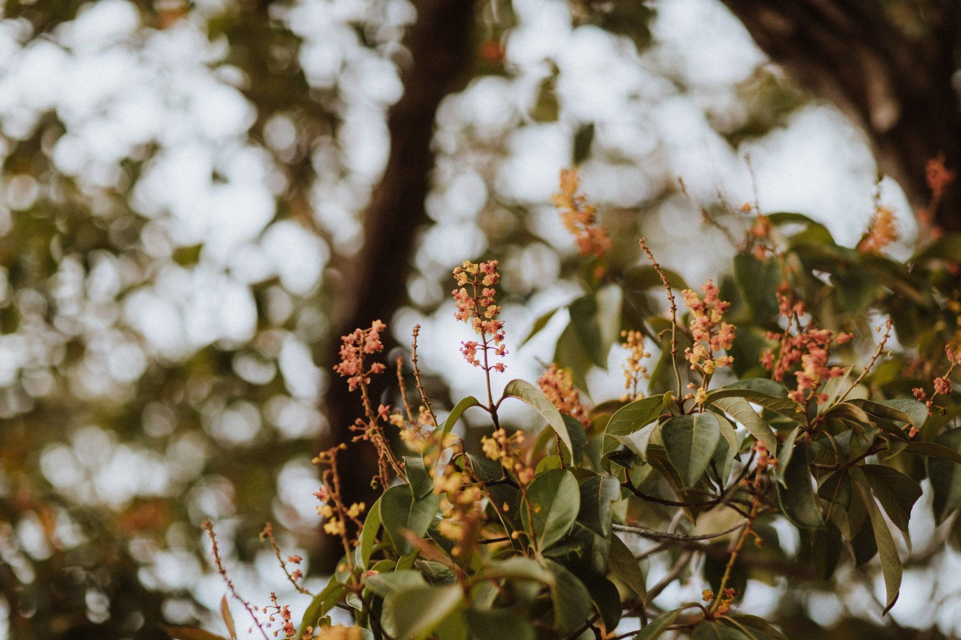 How Does Pollen Affect Your Roof & Gutters?