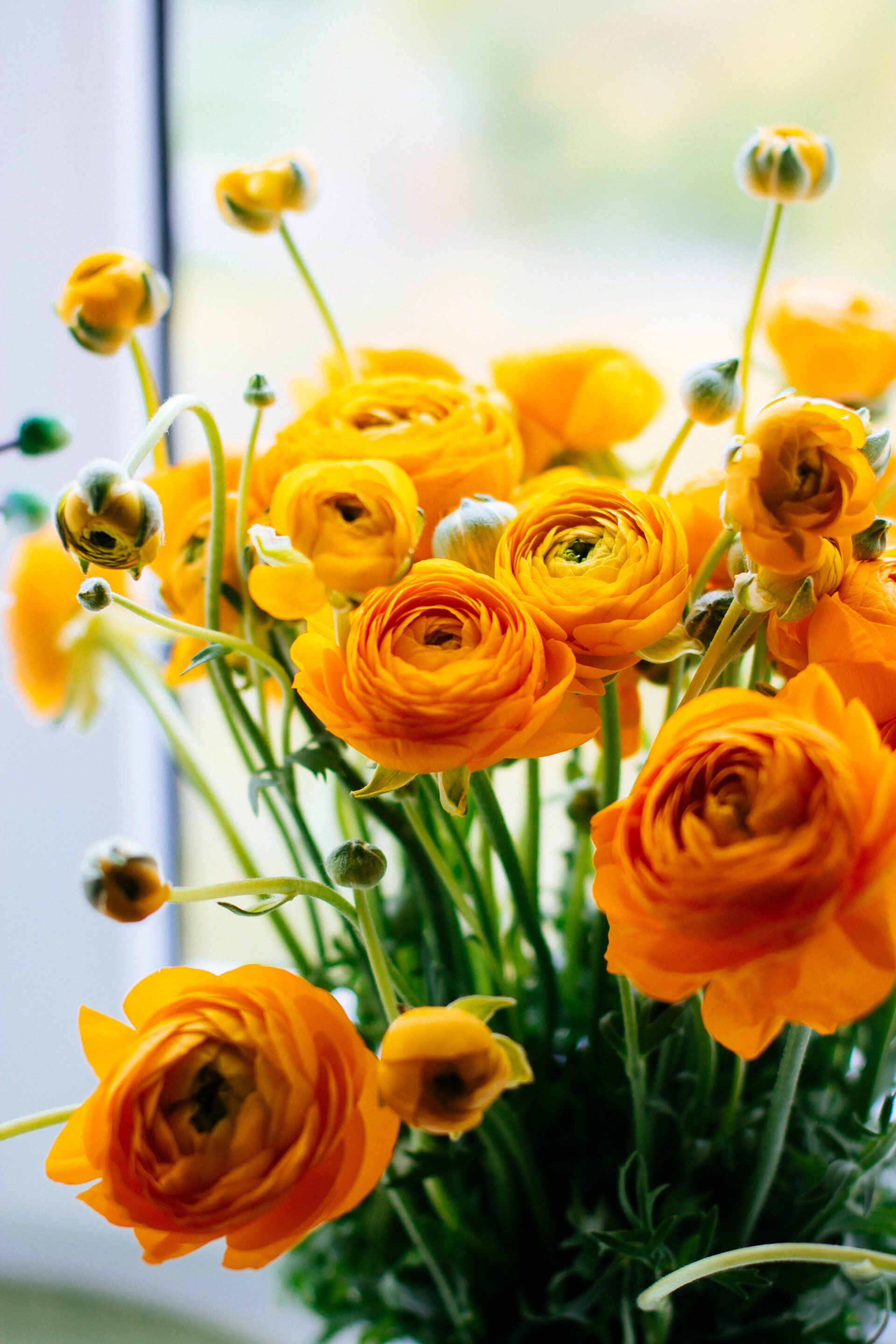 A vase filled with yellow flowers is sitting on a window sill.