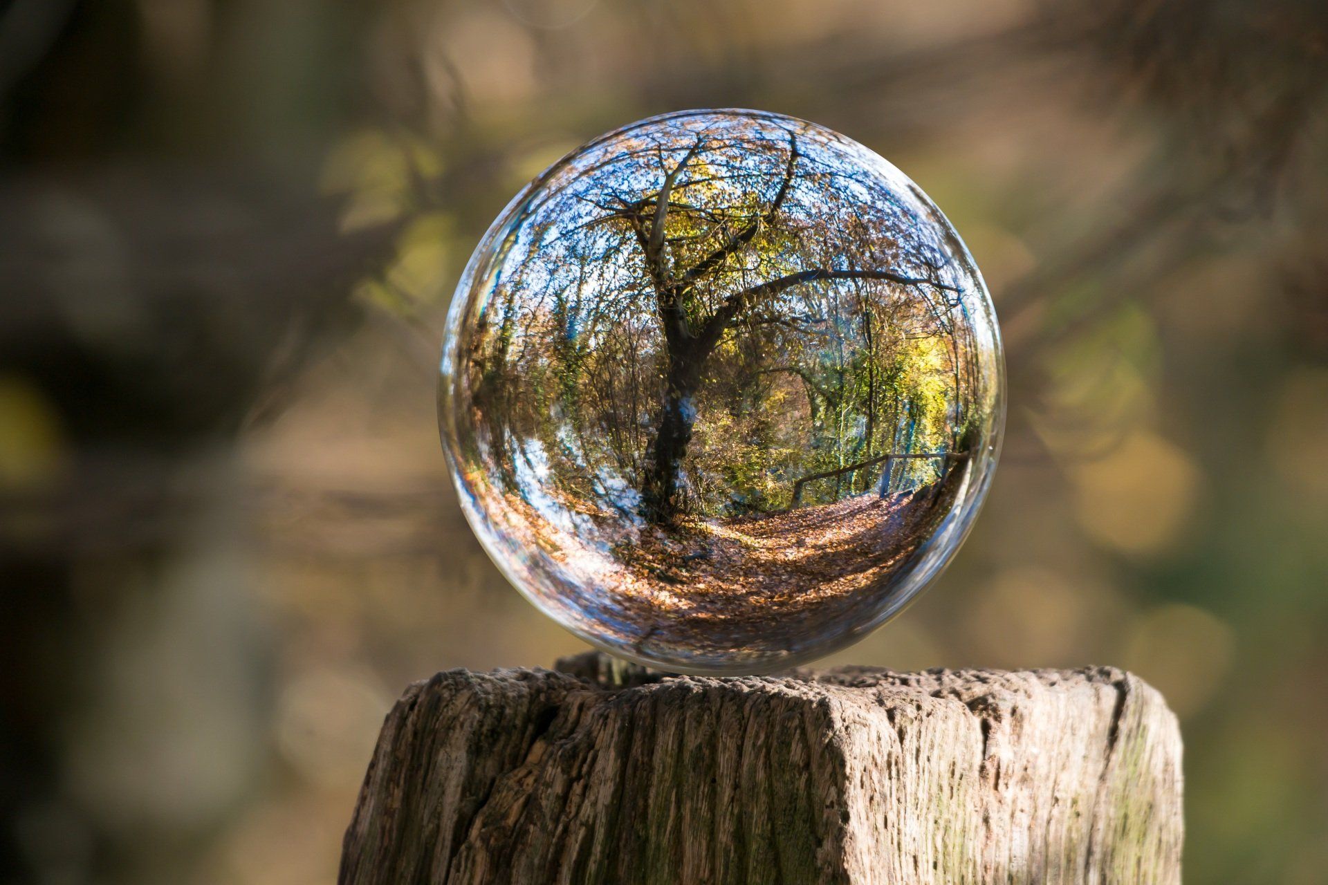 crystal ball on wooden fence post