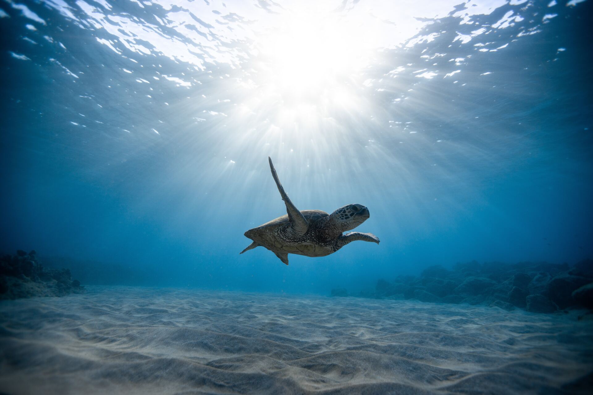 Marsa Alam, Red Sea, Egypt