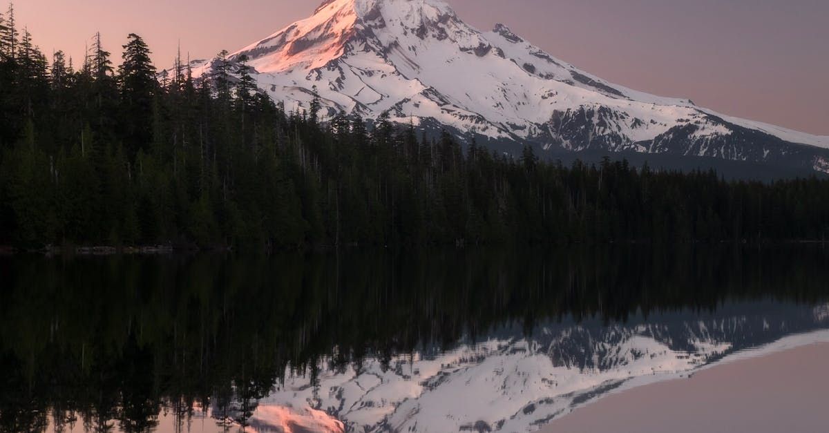 A snowy mountain is reflected in a lake surrounded by trees.