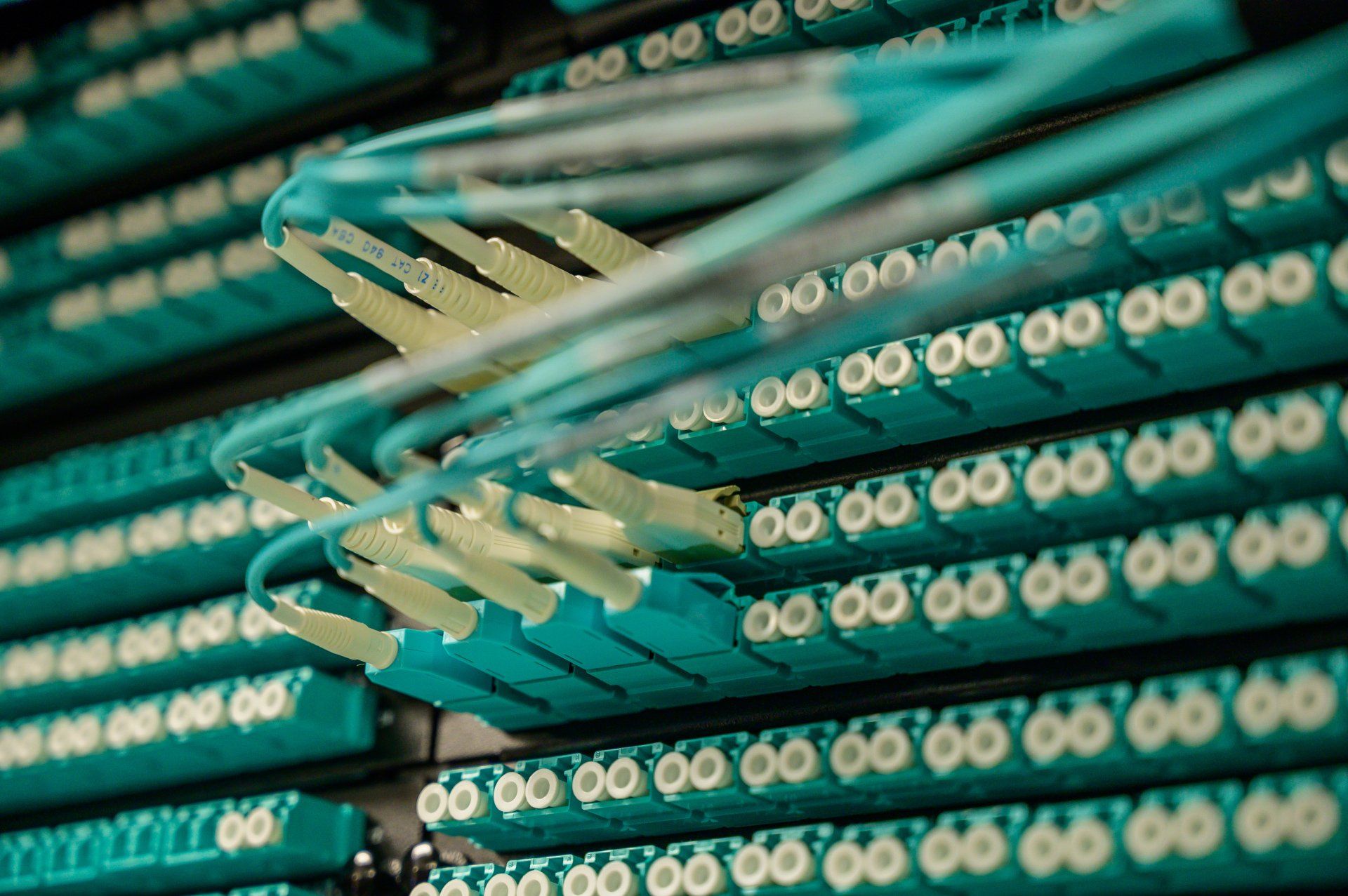 a bunch of blue cables are connected to each other in a server room .