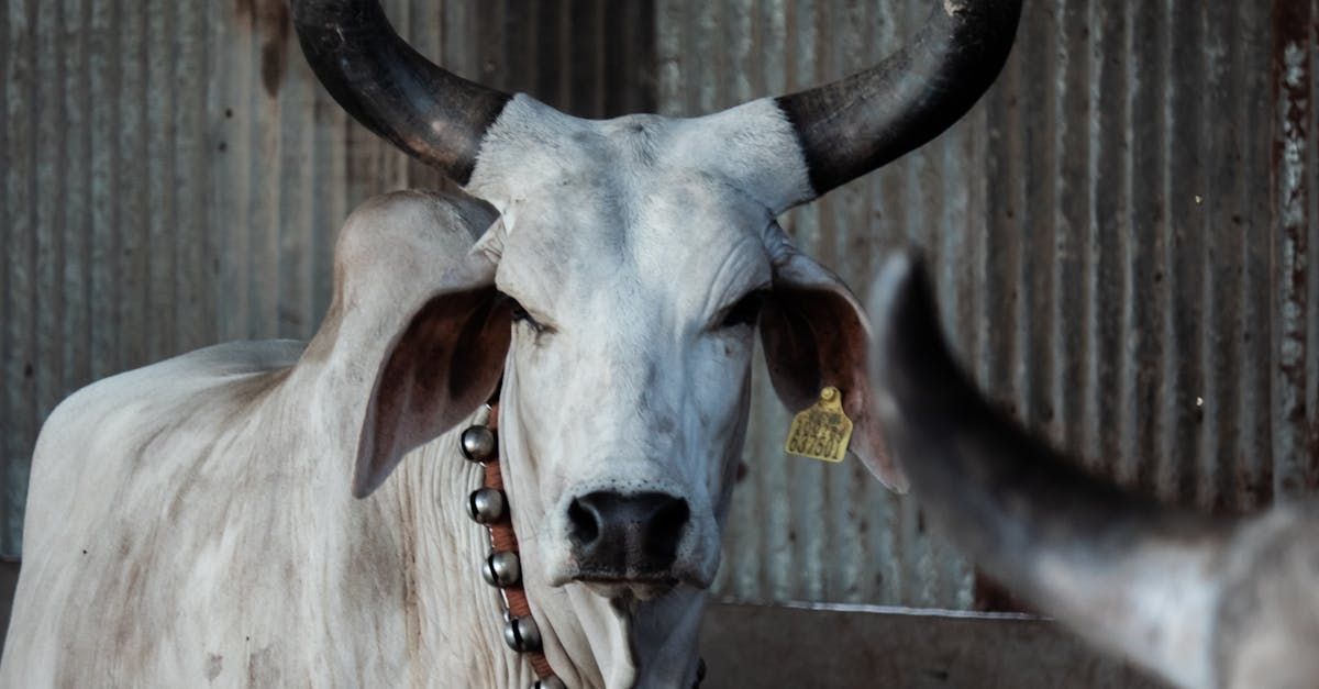 Deliver results. Every time
