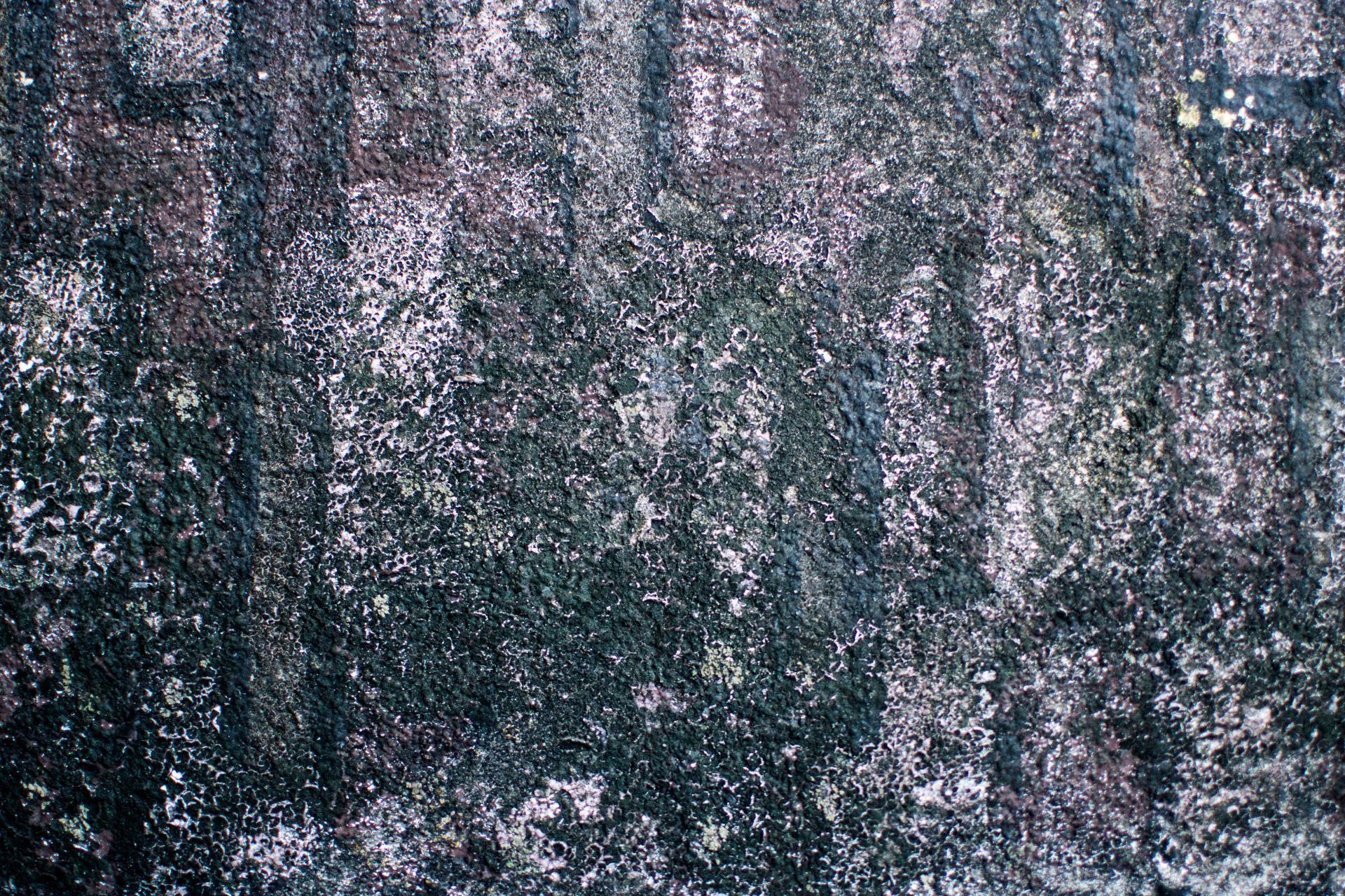 moss-covered wall