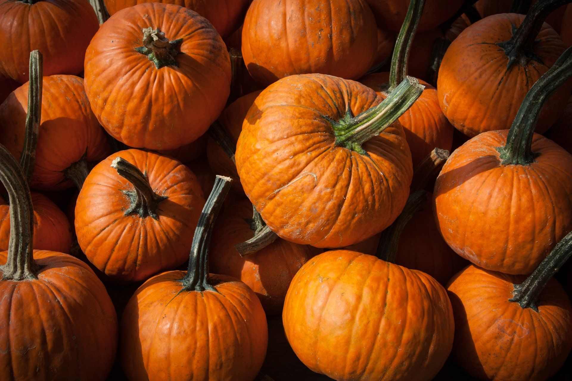 Five easy, healthy and tasty pumpkin-packed recipes