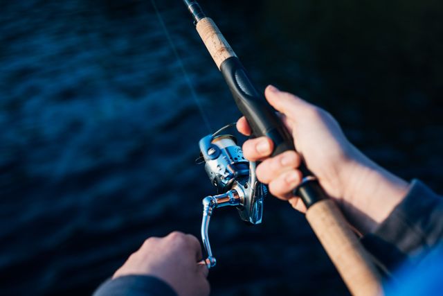 best lure to throw at dolphin fish What are the best lures for dolphin fishing?