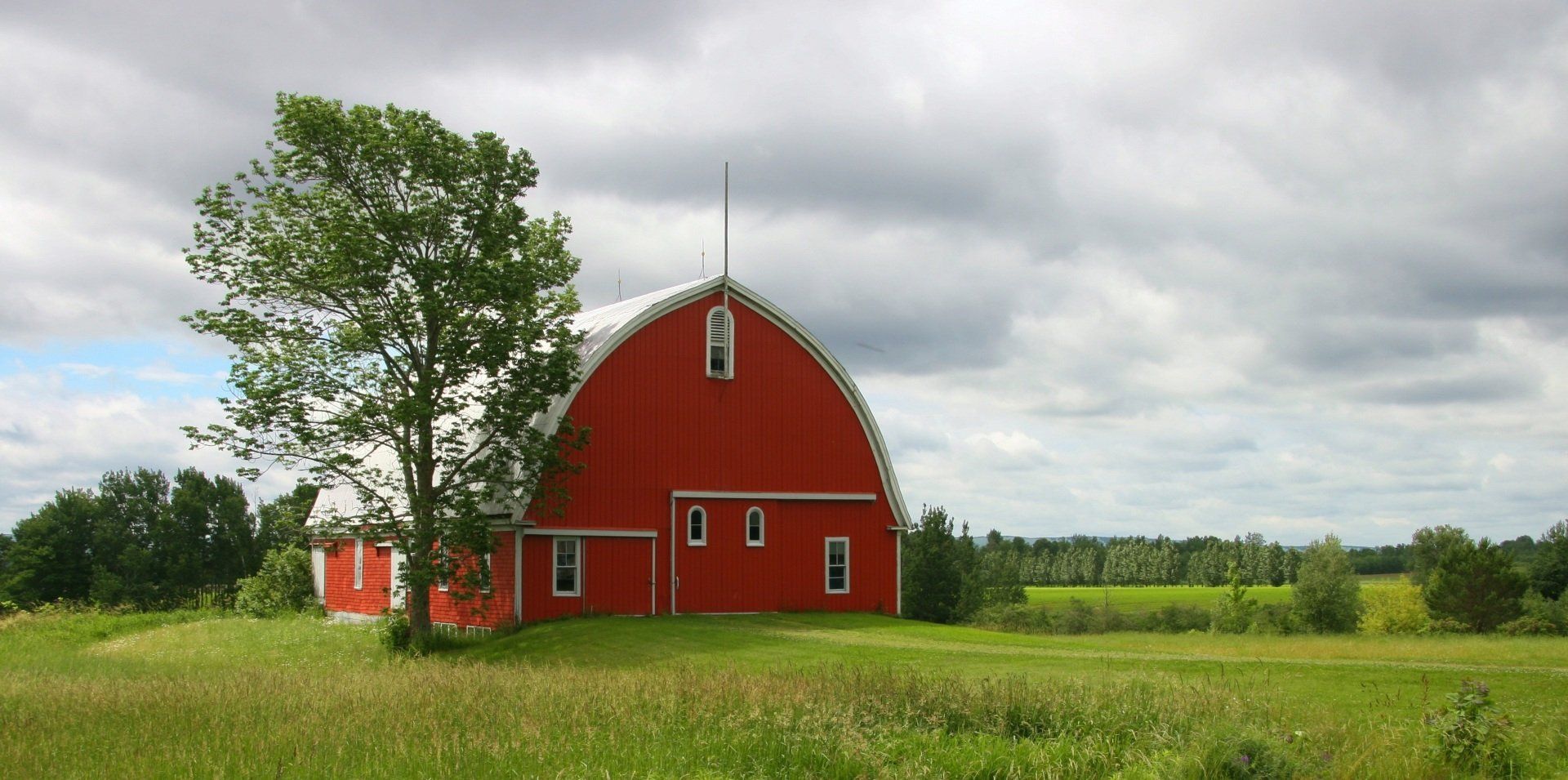 A red barn with a tree in front of it