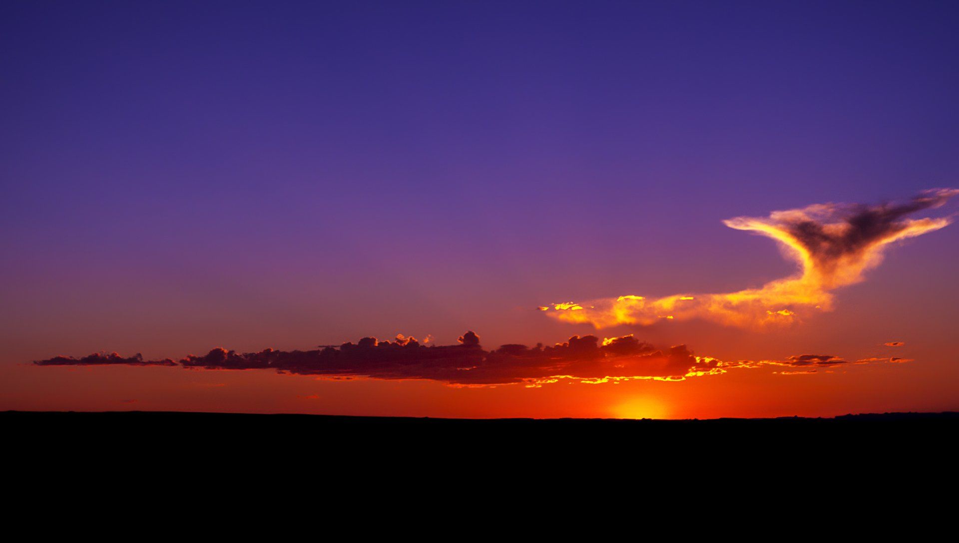 A sunset with a cloud that looks like a bird flying in the sky