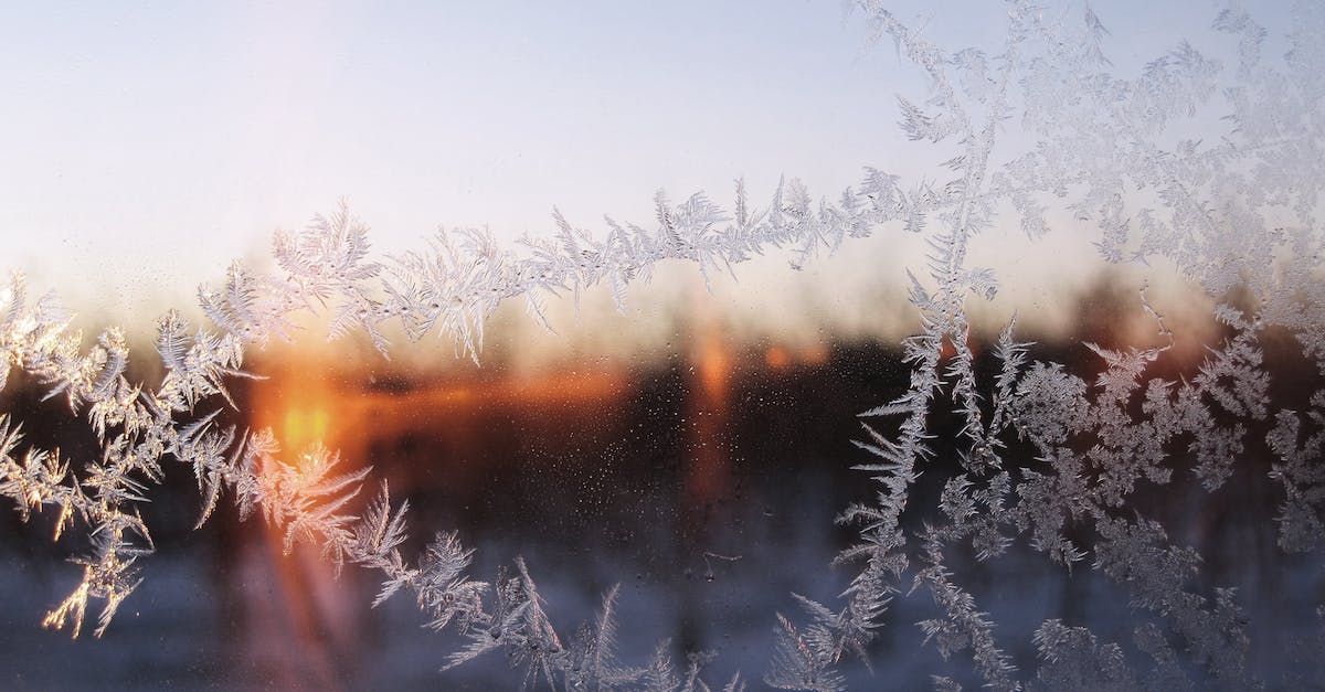 Closeup of frost on a window with the sunset in the background.