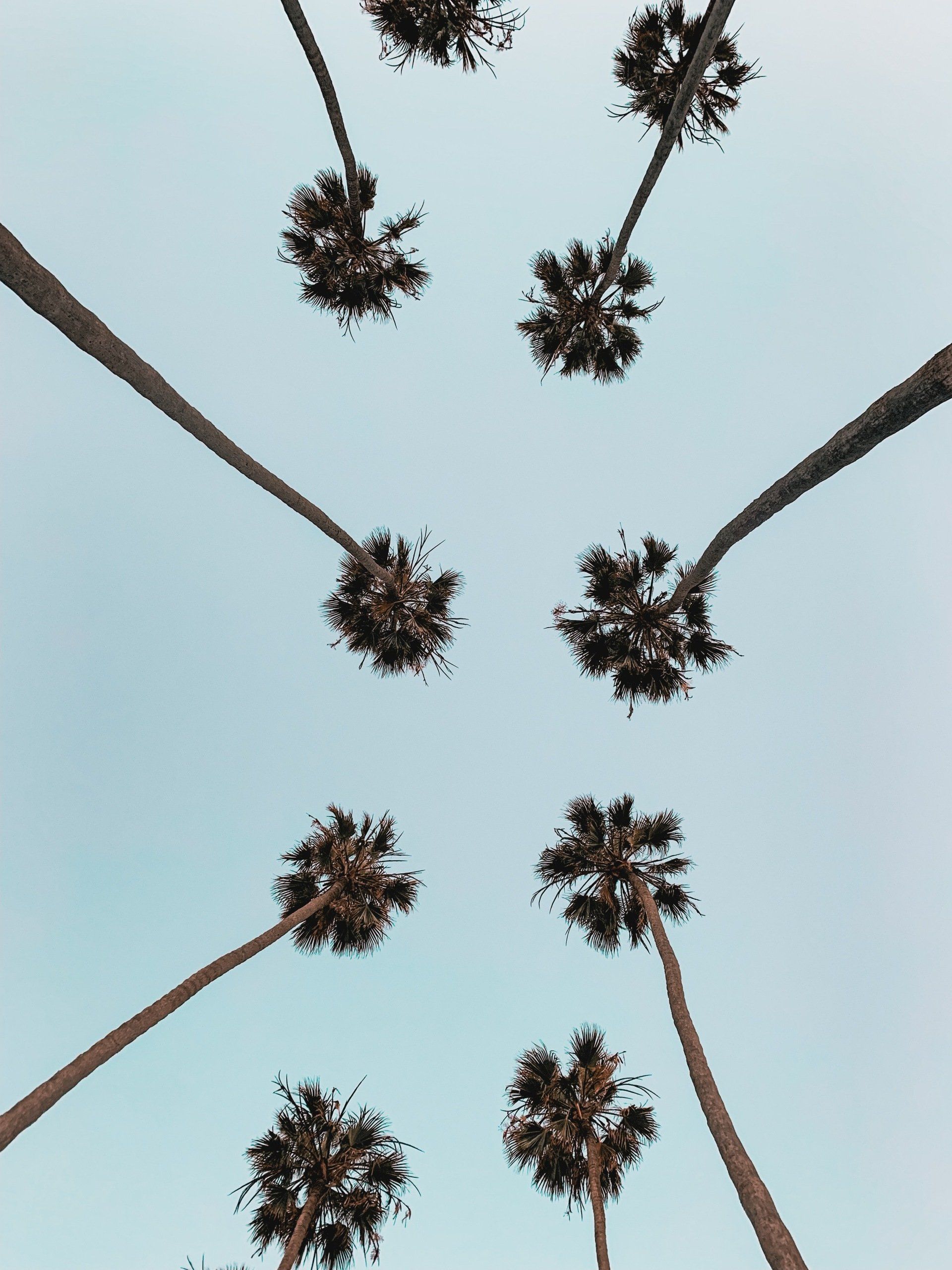 Jay Whittington and Yvette R. Sanchez