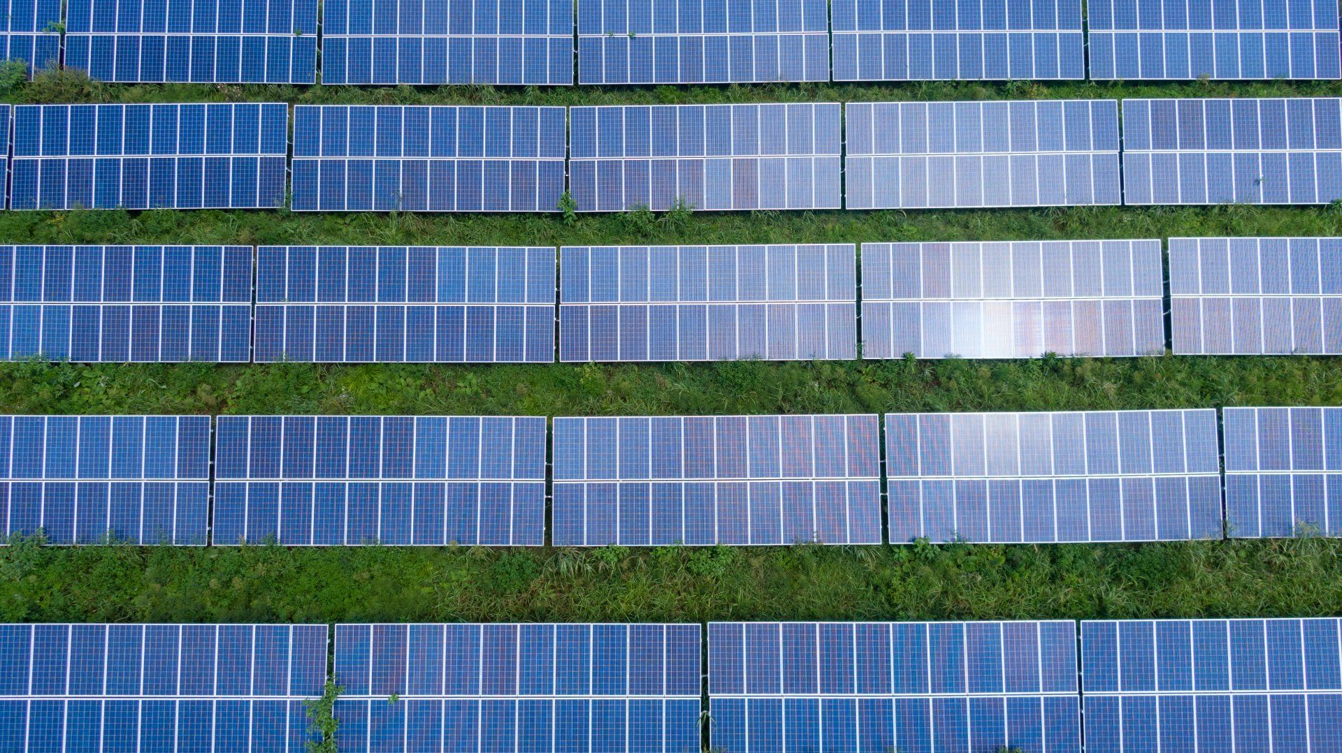 an aerial view of a row of solar panels sitting on top of a lush green field .