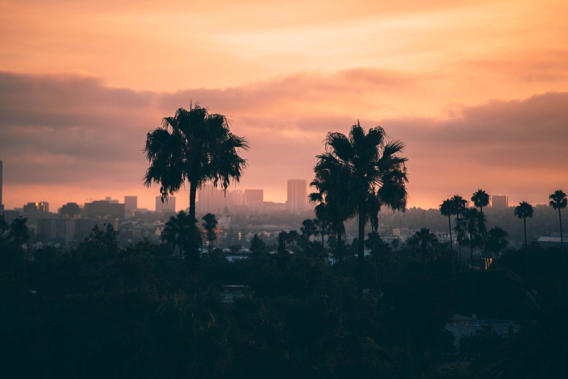 City Skyline with Palm Trees and Hazy Sunset