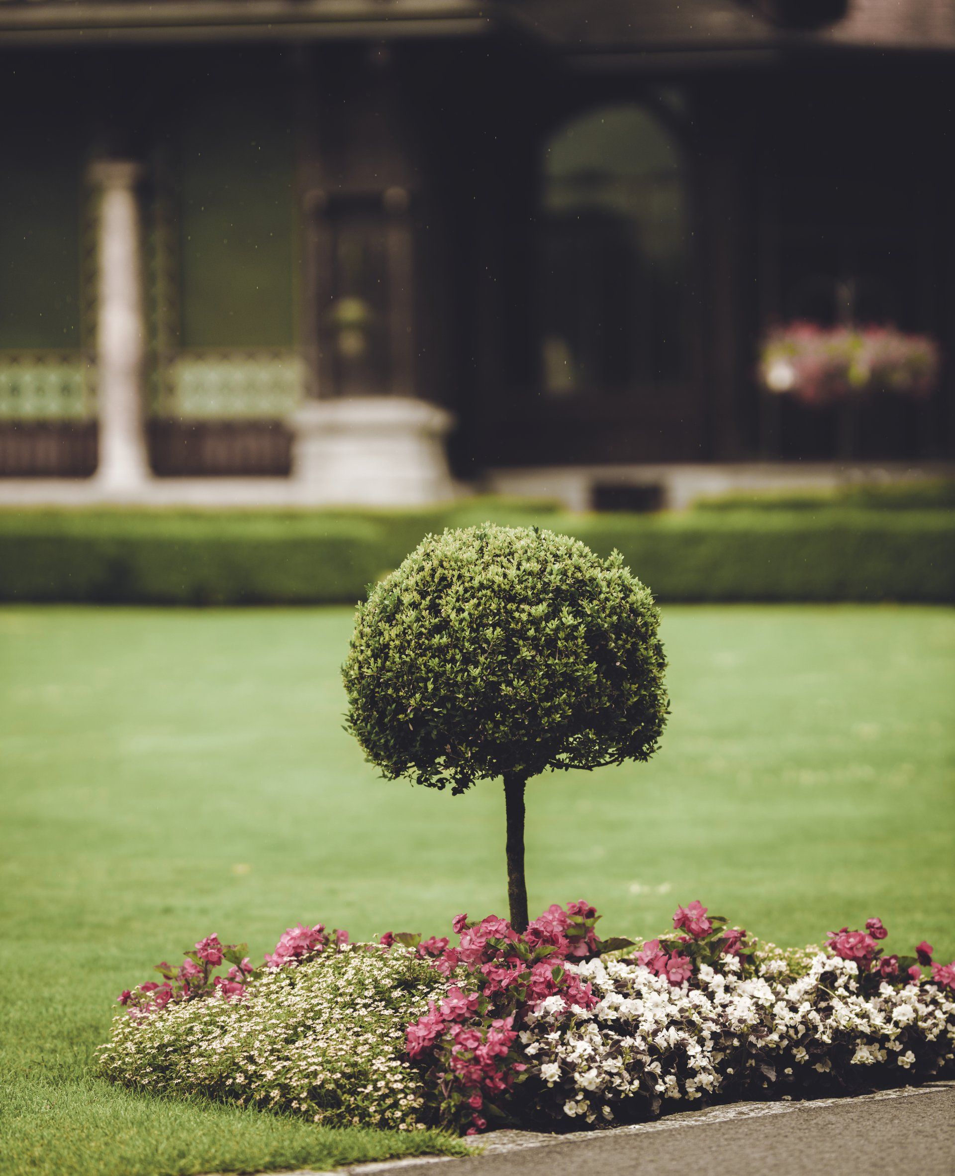 Exploring the Best Types of Artificial Grass for Hassle-Free Lawns