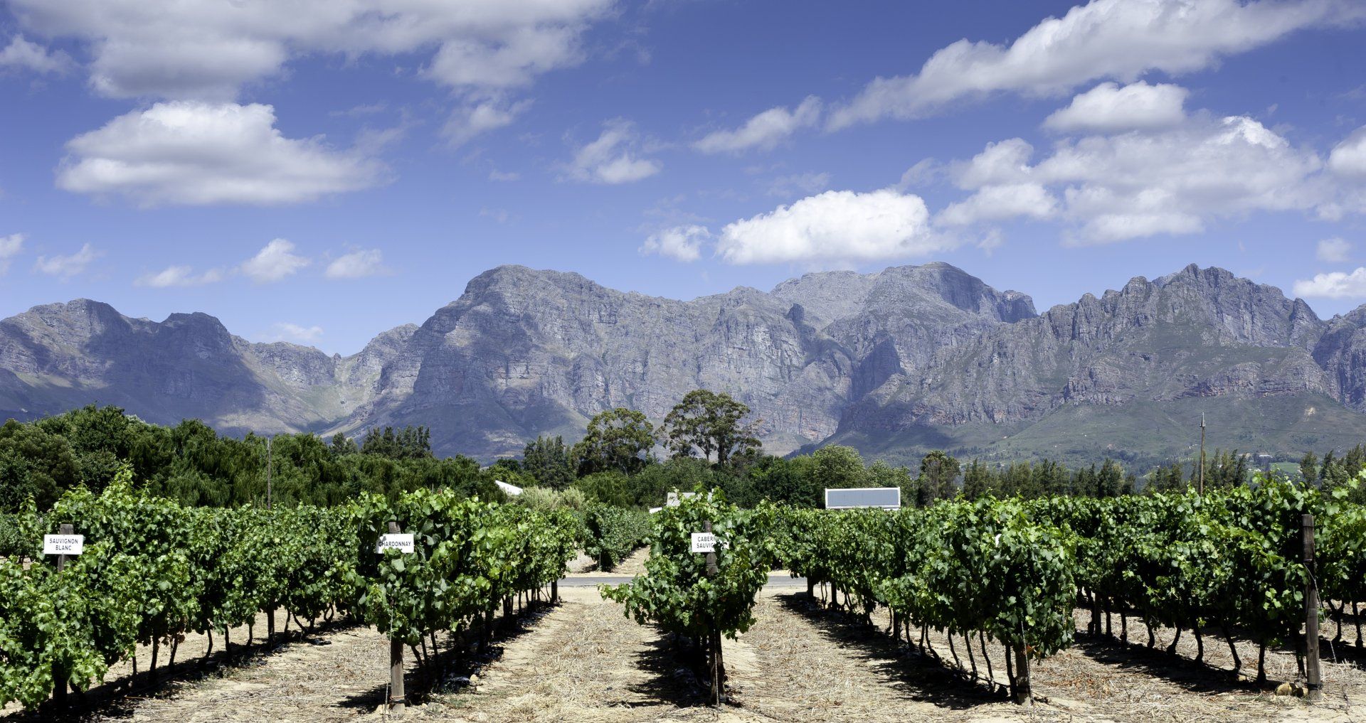 Large winery field — Limousine Hire in Central Coast, NSW