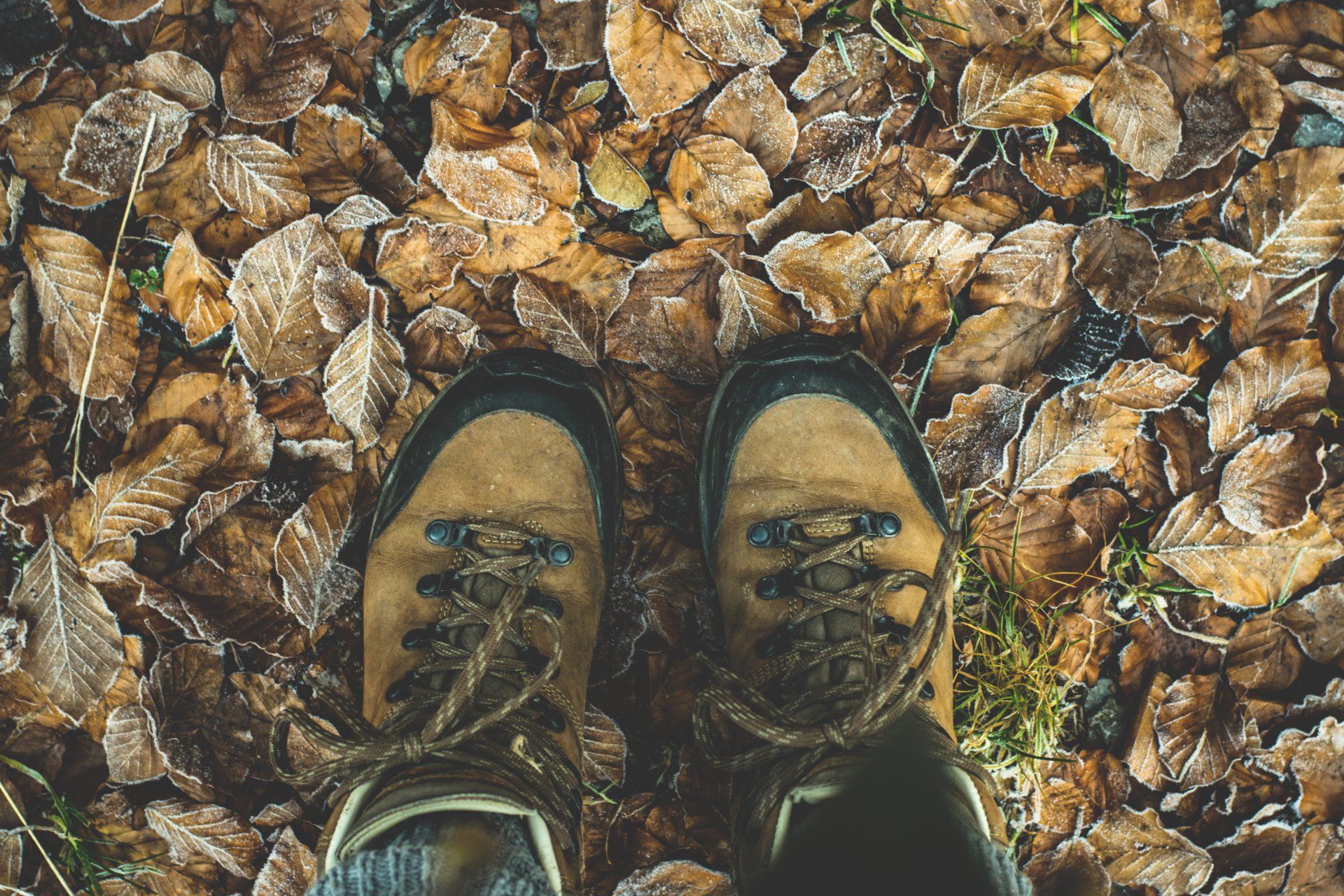 Hiking gear boots