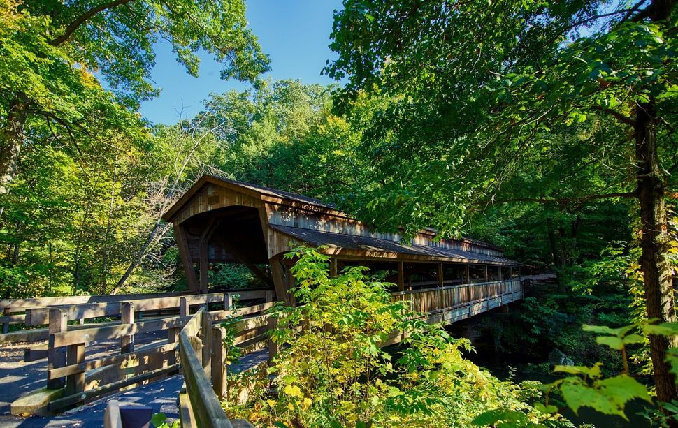a wooden covered bridge in the middle of a forest