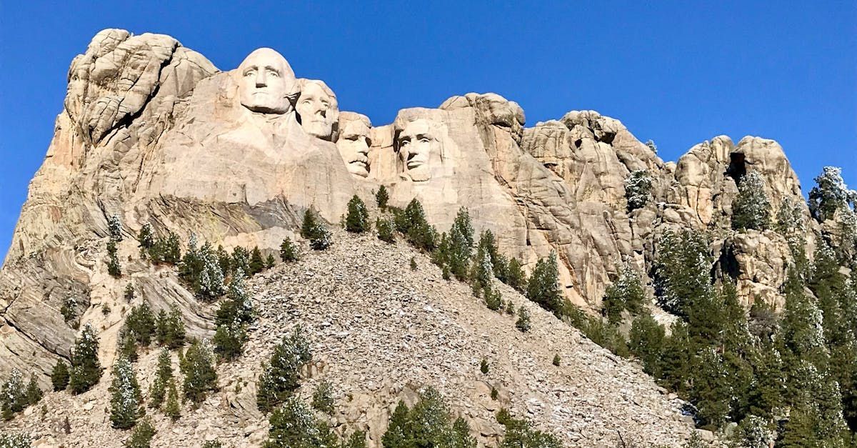 Social Studies & History