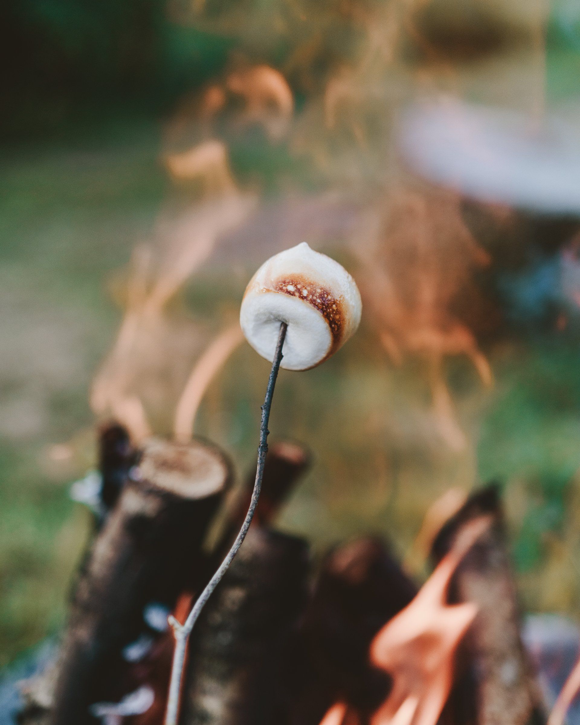 a marshmallow is being cooked on a stick over a campfire .