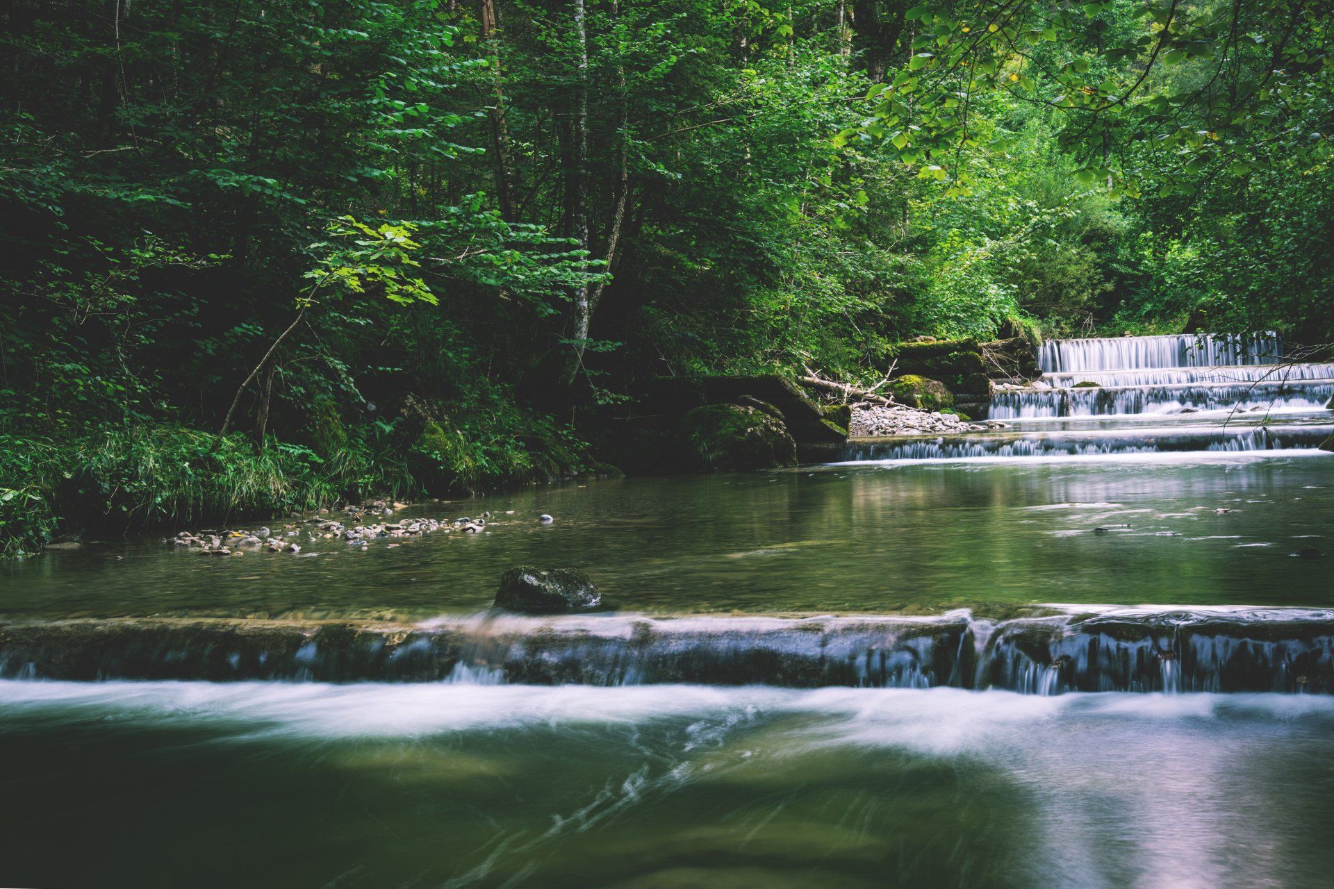 A river flowing through a lush green forest with a waterfall in the background.