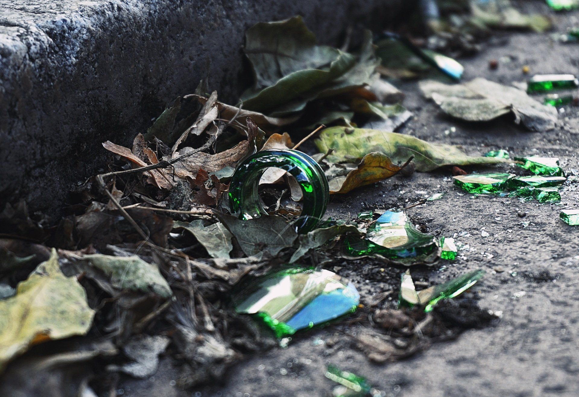 Broken bottle pieces, leaves and trash at a curbside