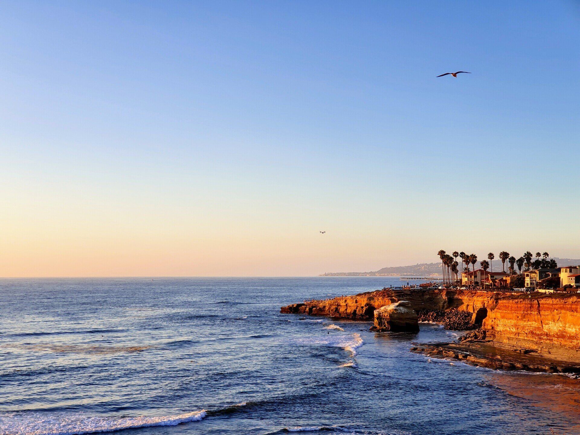 a cliff overlooking the ocean at sunset with birds flying overhead