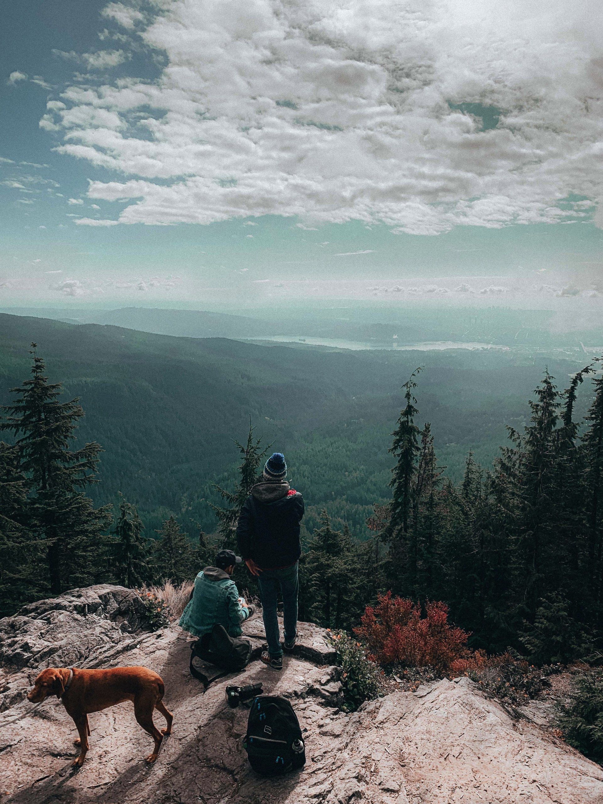A man and a woman are standing on top of a mountain with a dog.