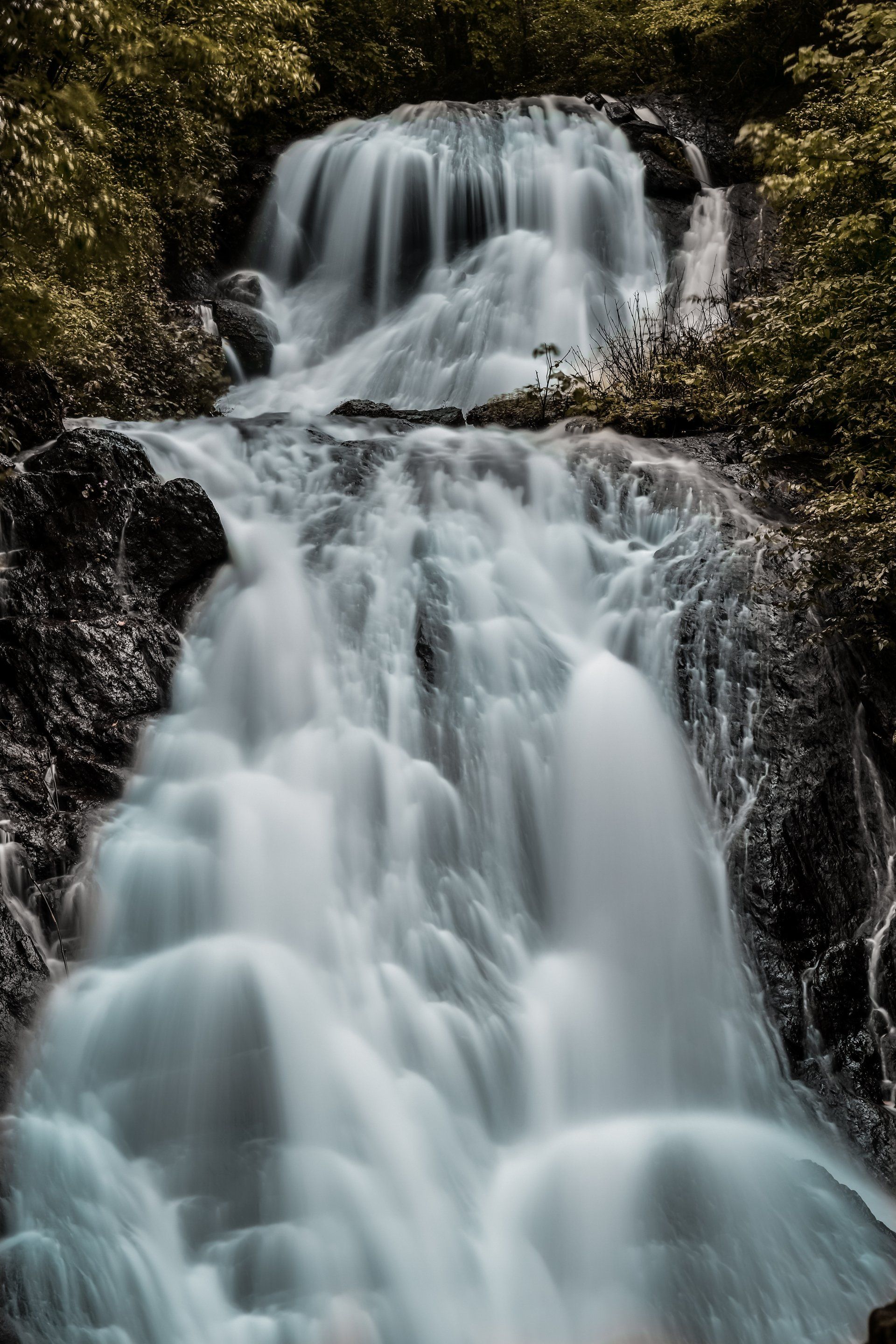 une longue exposition d' une cascade dans une forêt