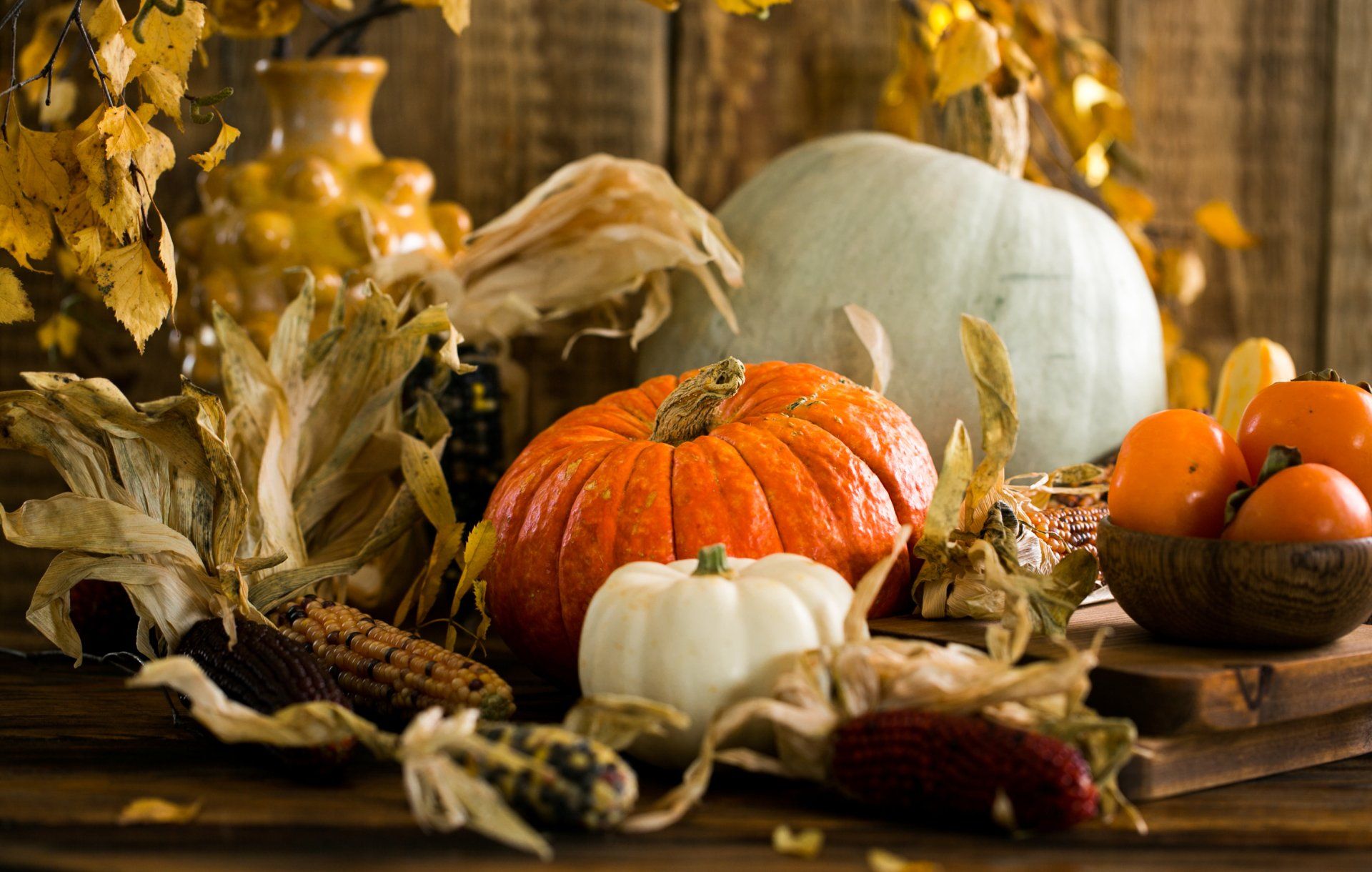 Pumpkins, tomatoes & corn set against an autumnal backdrop