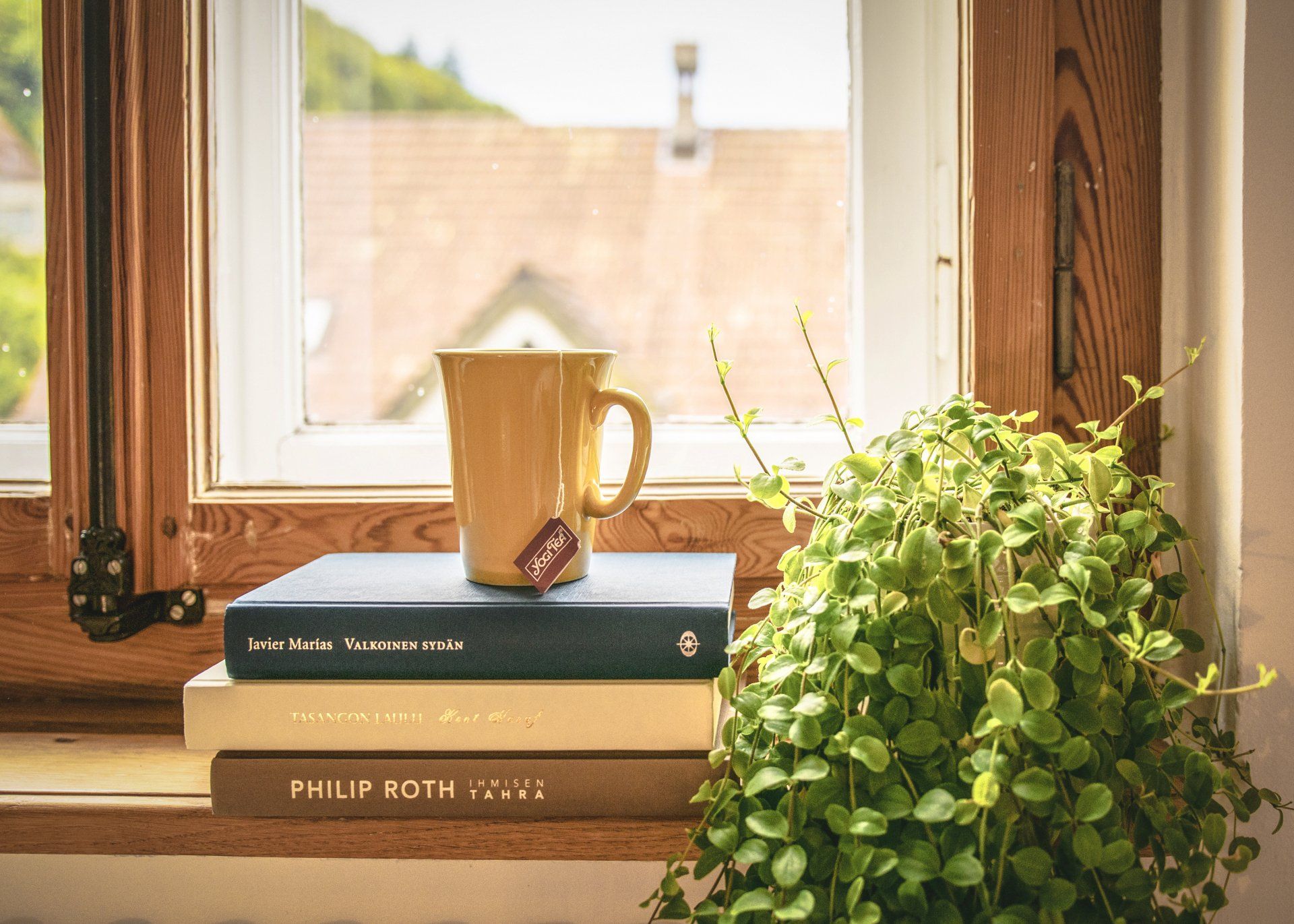 This image depicts a serene window scene, where a mustard yellow mug sits atop a stack of books.