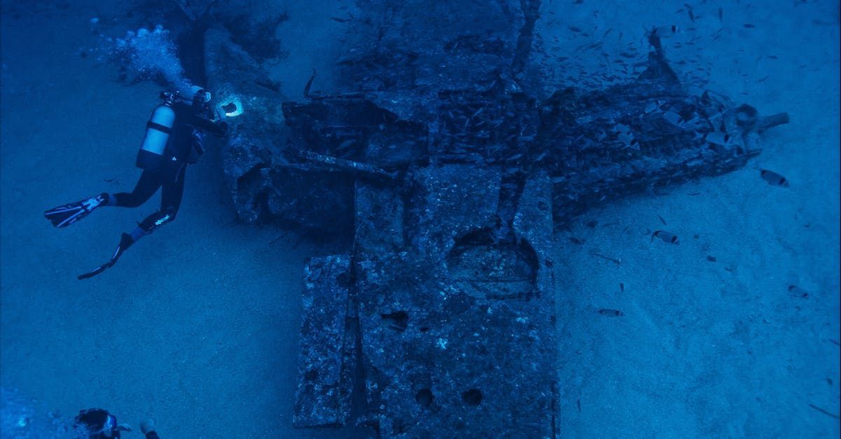 A scuba diver is looking at a plane wreck in the ocean.