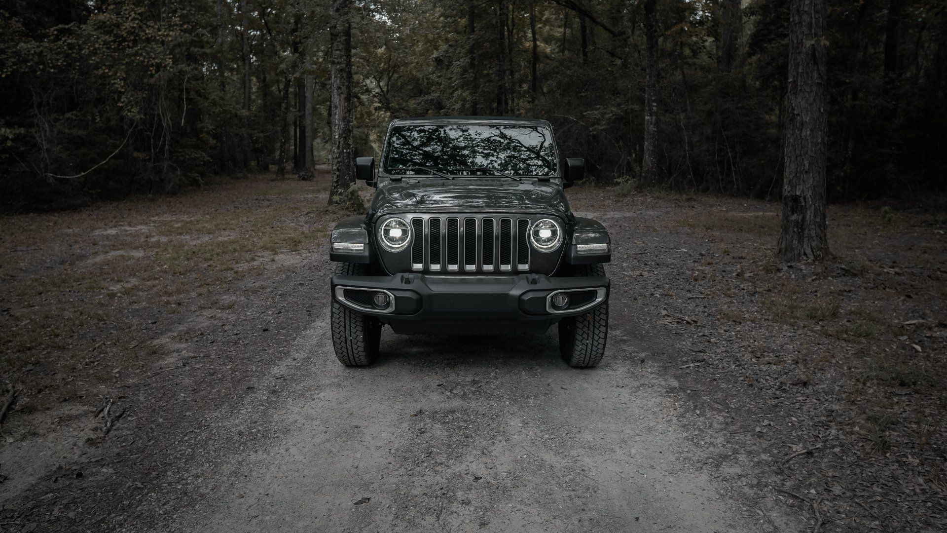 a black jeep is parked on a dirt road in the woods .