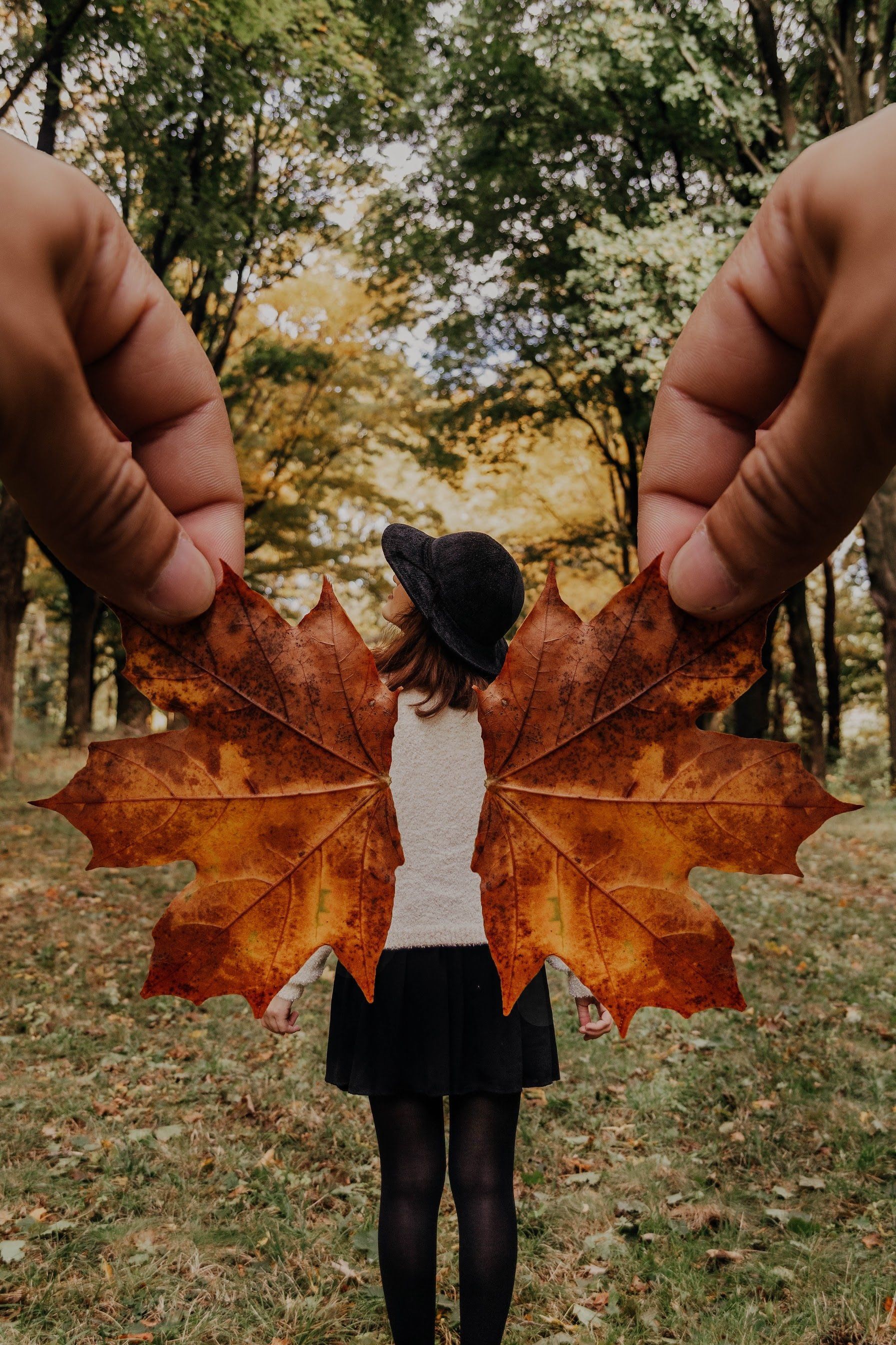 A person is holding a maple leaf in front of a woman.