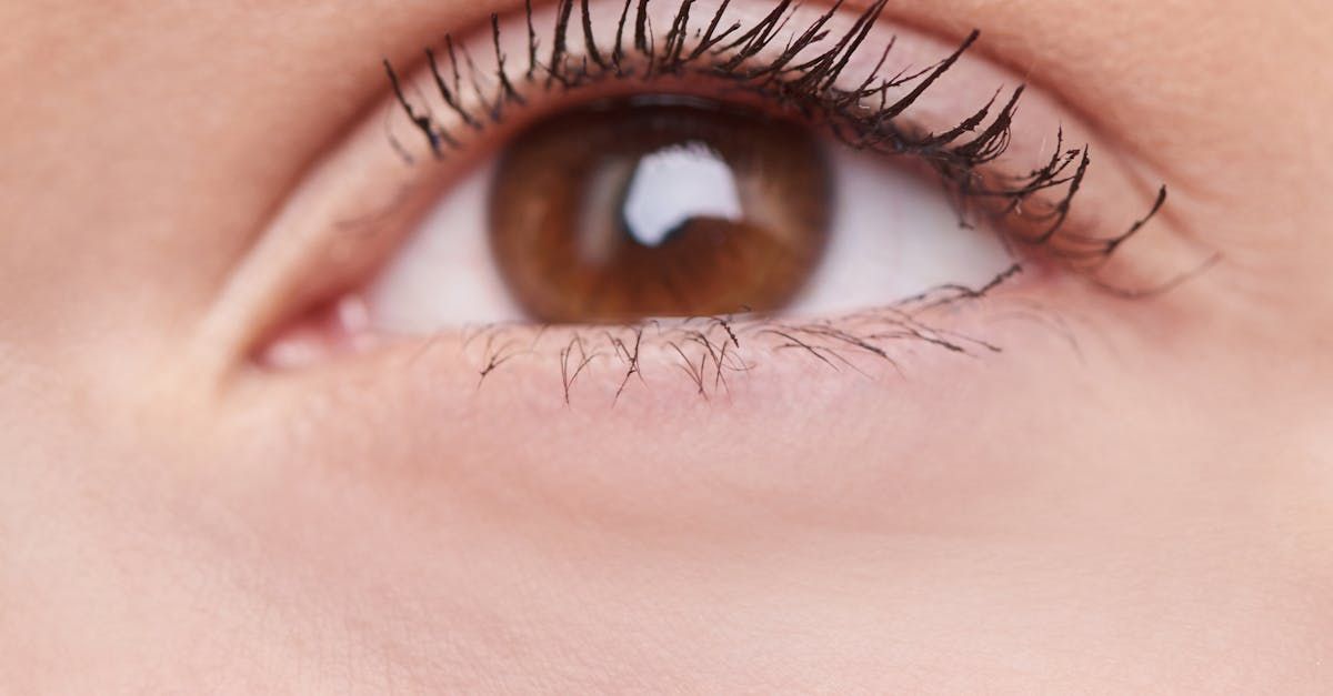 A close up of a woman 's brown eye with long eyelashes.