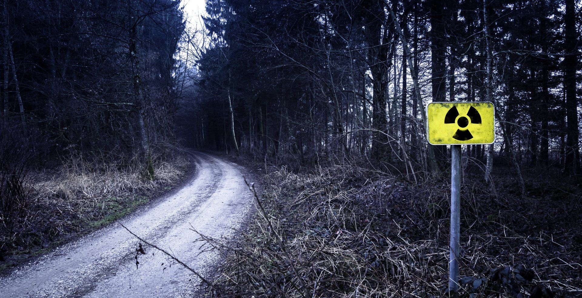 A yellow sign with a nuclear symbol on it is on the side of a dirt road in the woods.