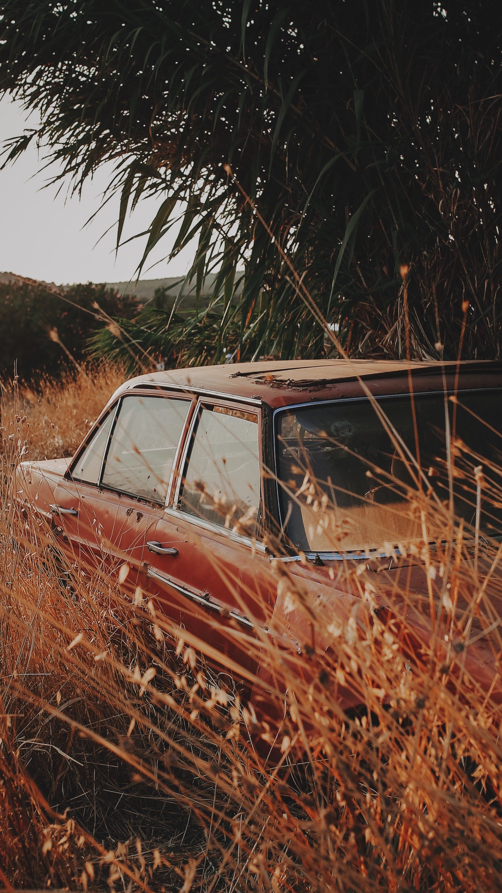 An old rusty car is sitting in a field of tall grass.