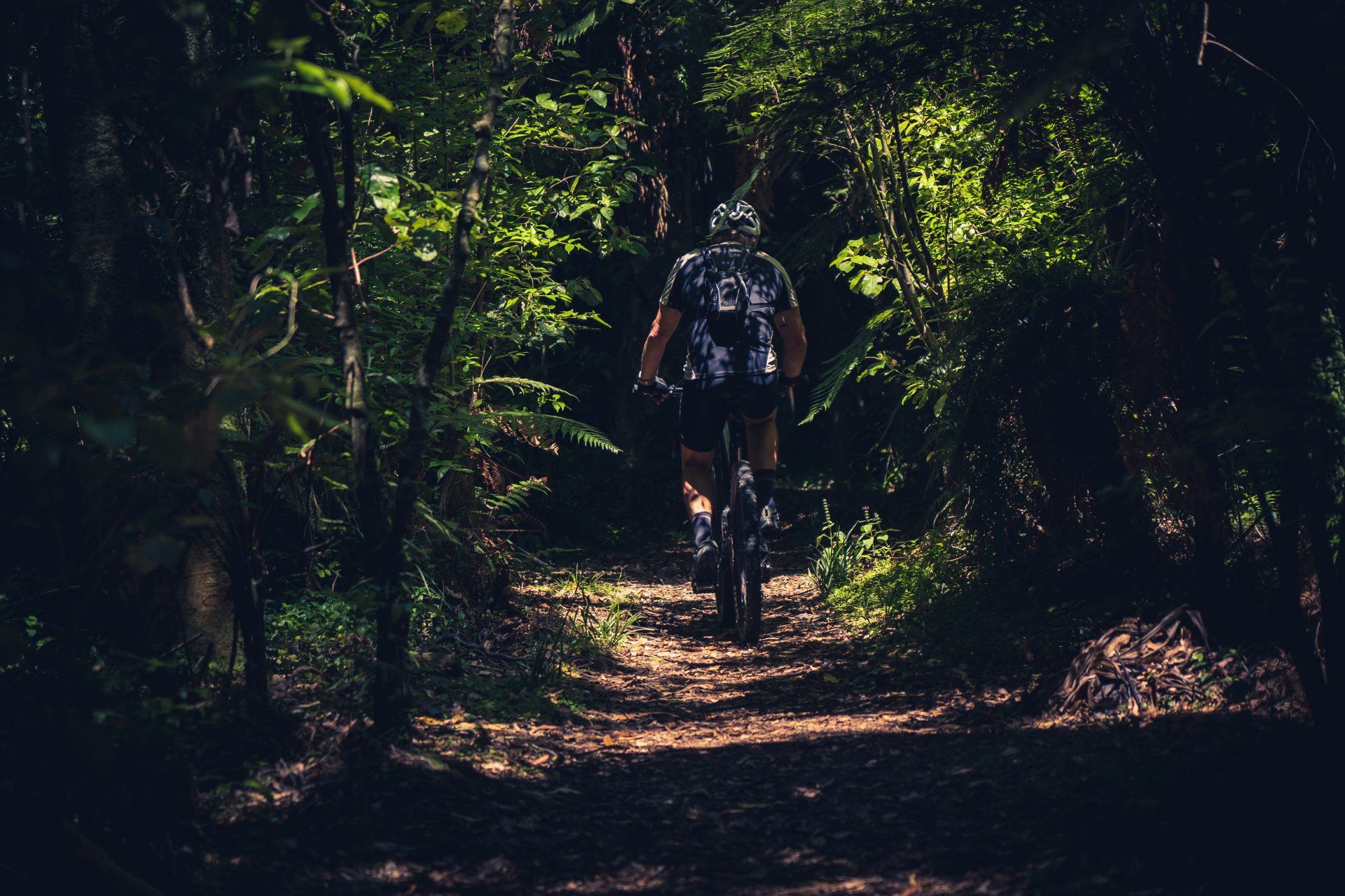 a man is riding a bike on a trail in the woods .