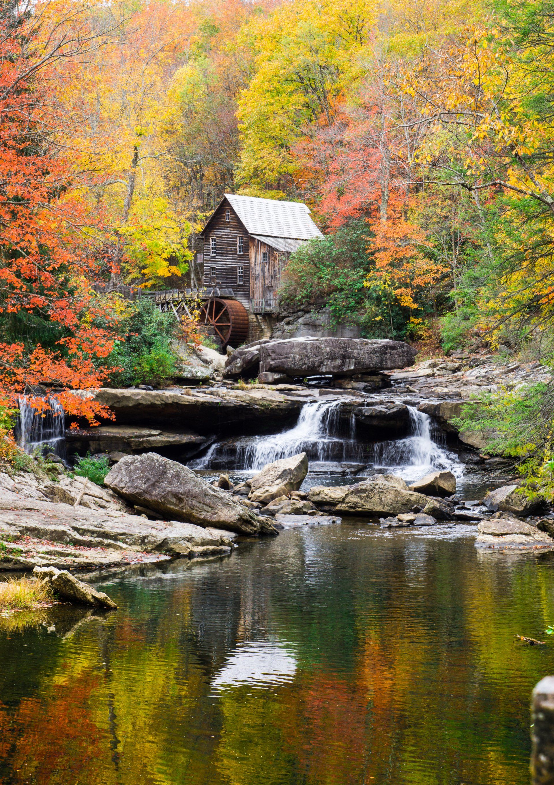 A water mill is surrounded by trees and a waterfall in the middle of a forest.