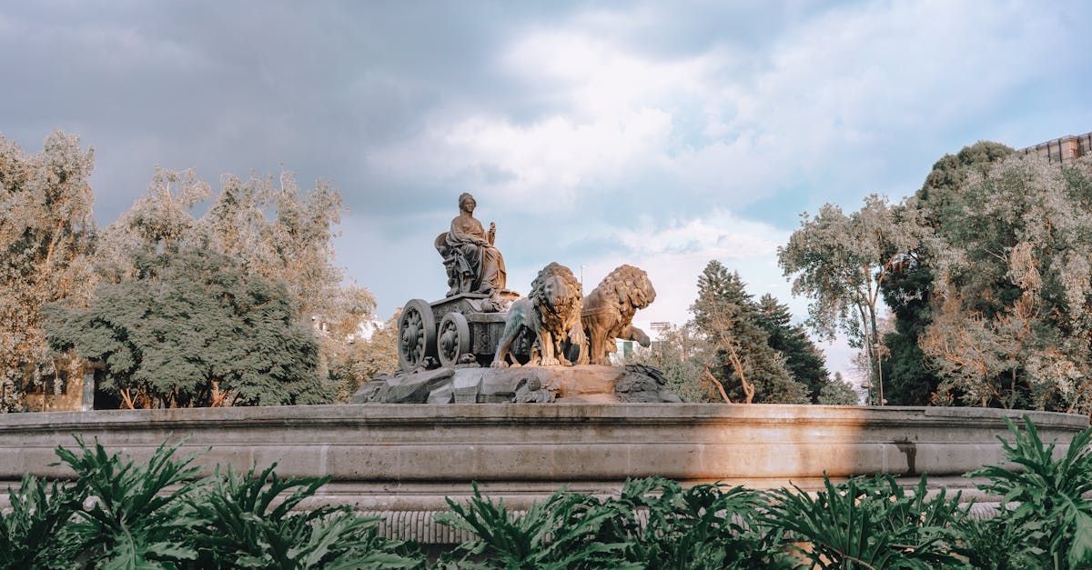 A statue of a man riding a horse drawn carriage in a park surrounded by trees.