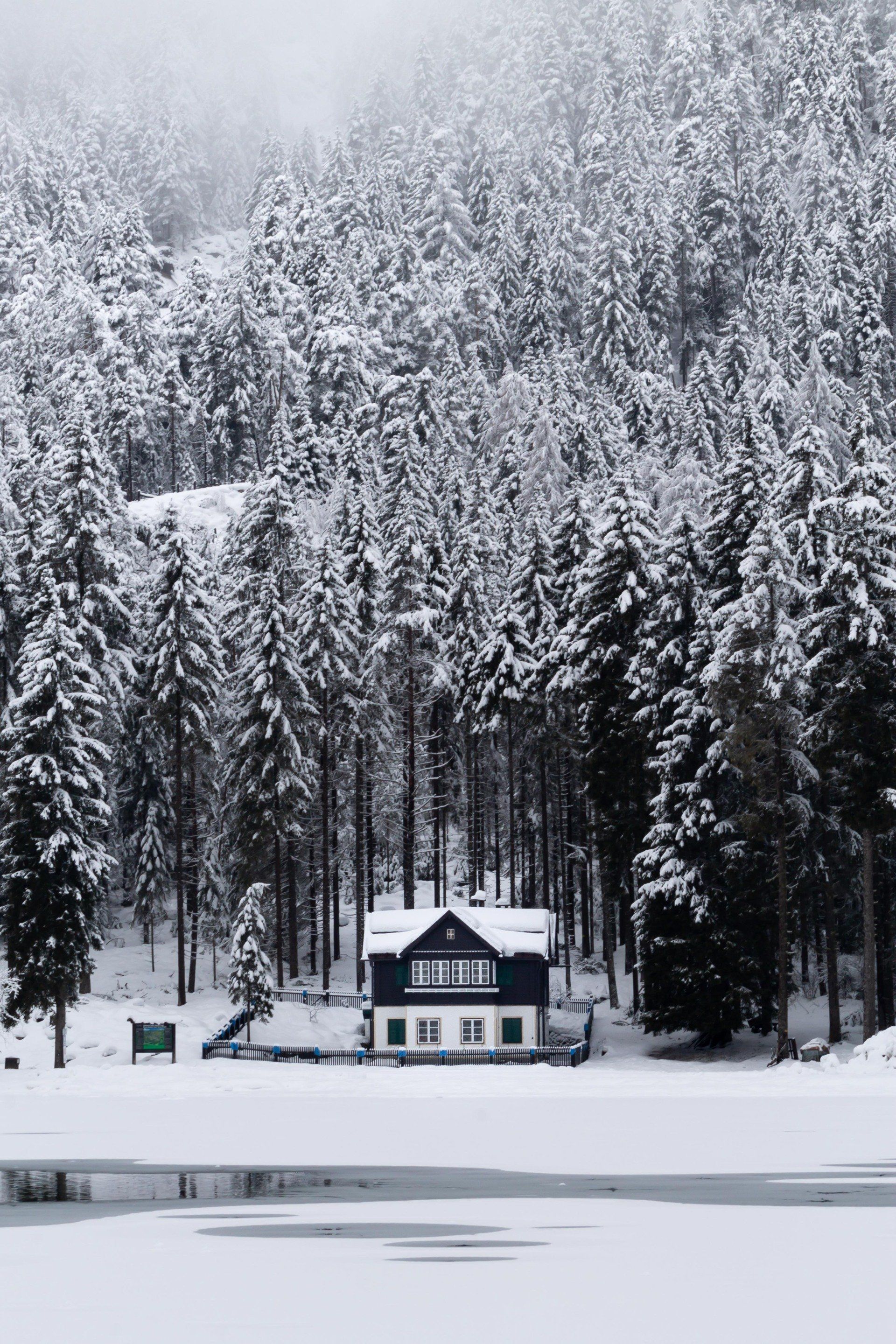 A black and white photo of a house in the middle of a snowy forest.
