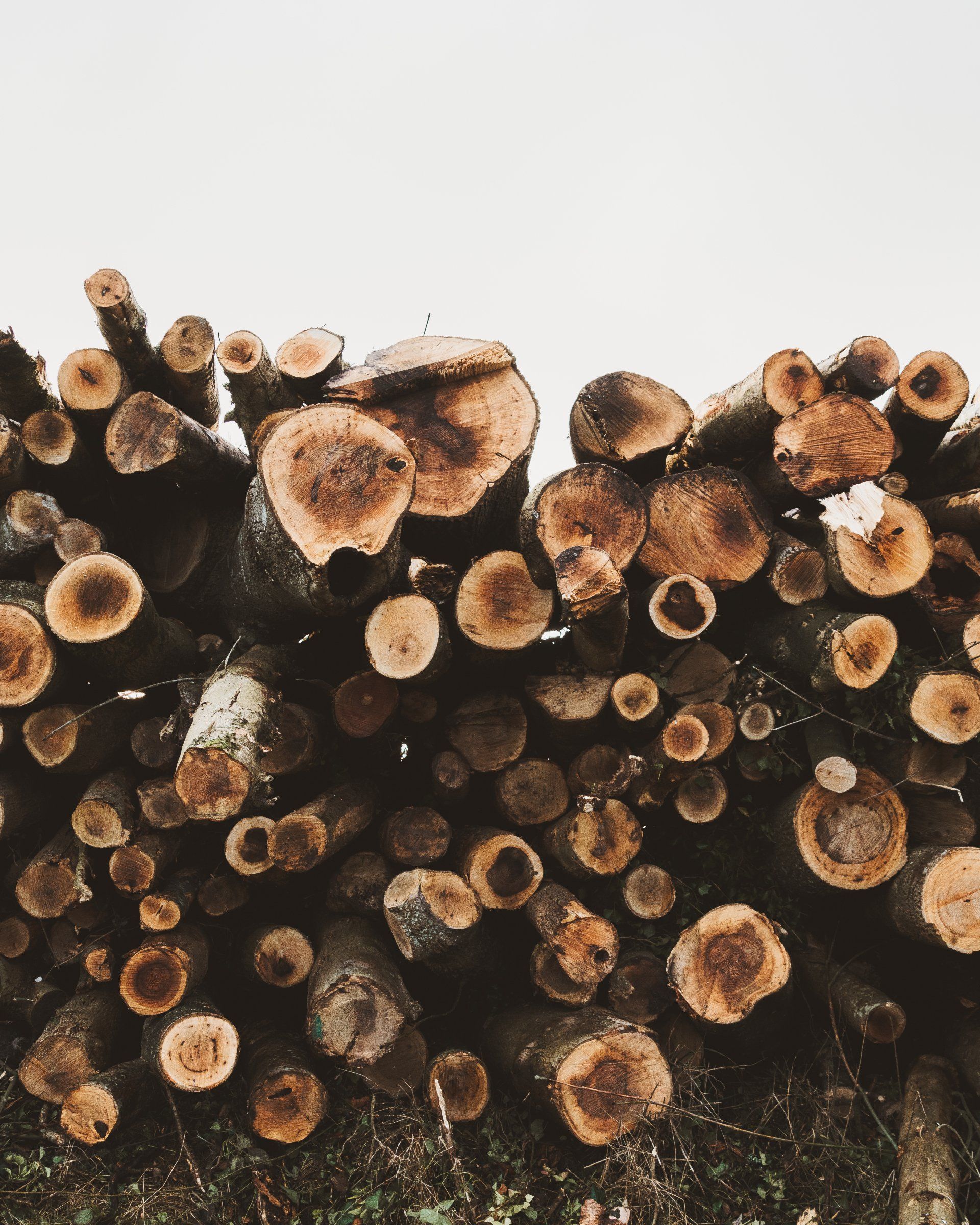 stacked wood log pile