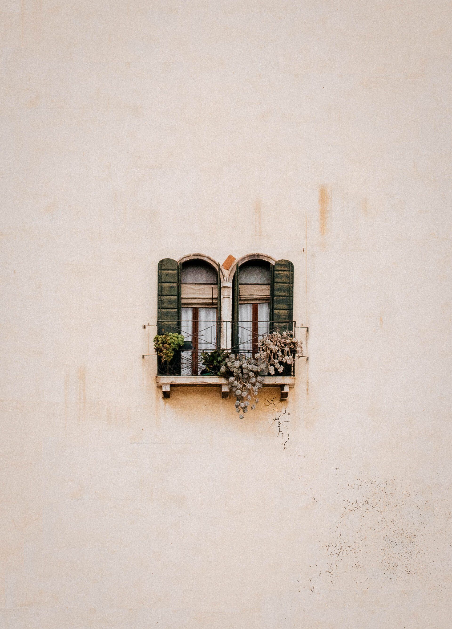 wood windows