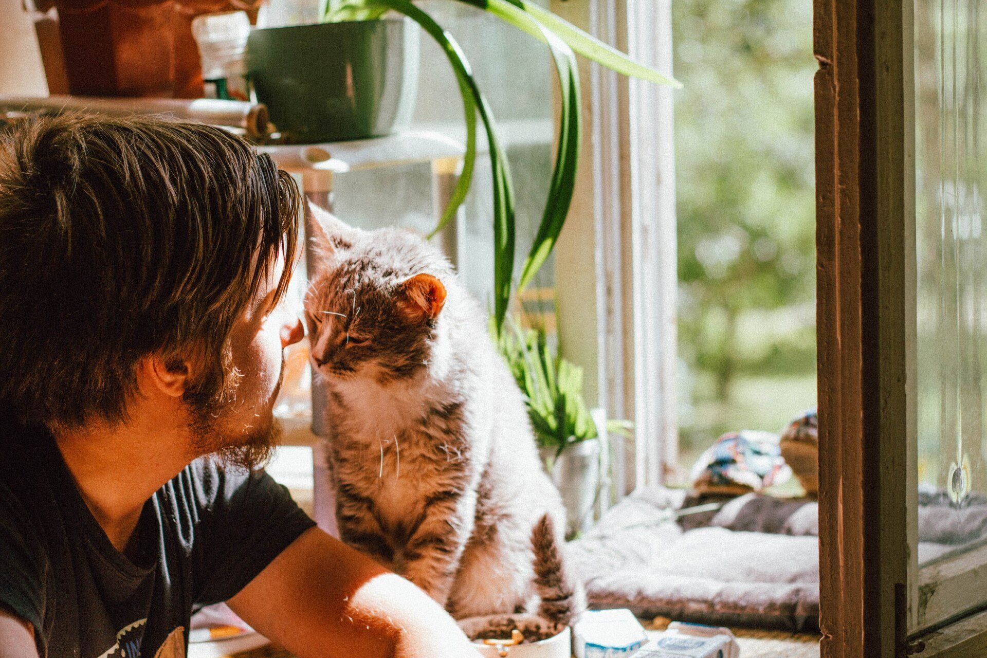 Calm home man with cat