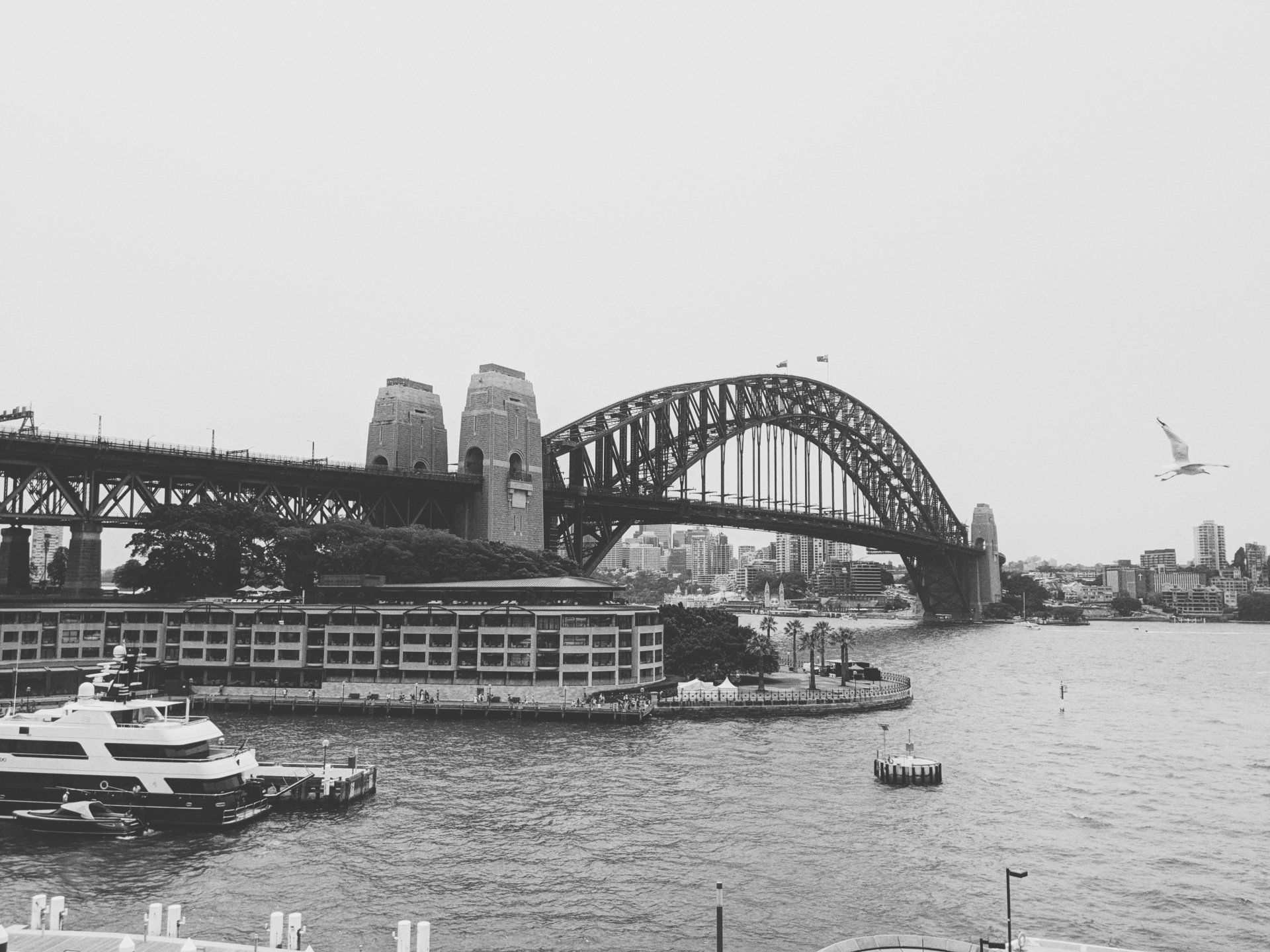 Ponte da Baía de Sydney em preto e branco, com água, barcos e um pássaro voando.