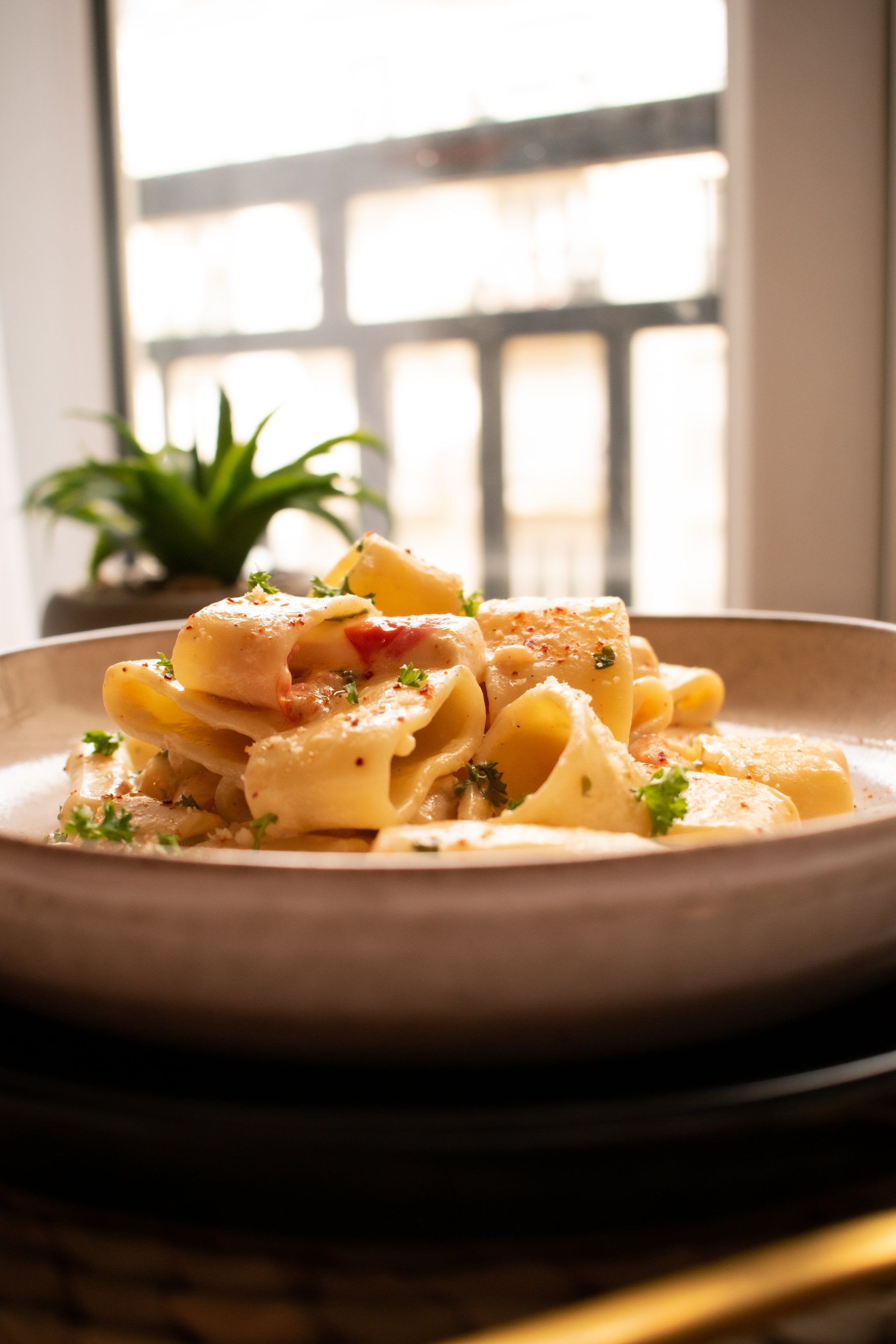 A close up of a plate of pasta with a plant in the background.