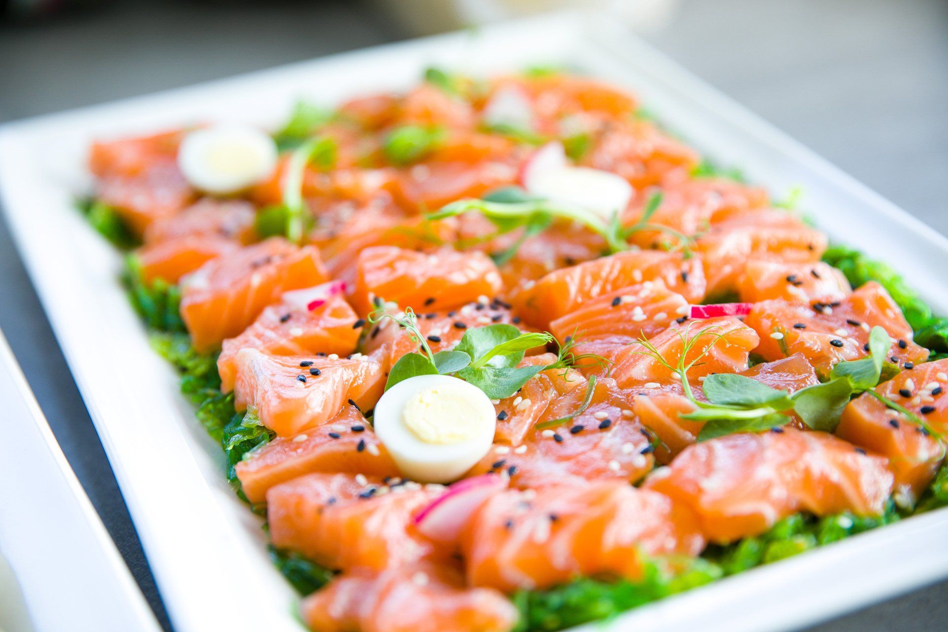 Catering Food Event